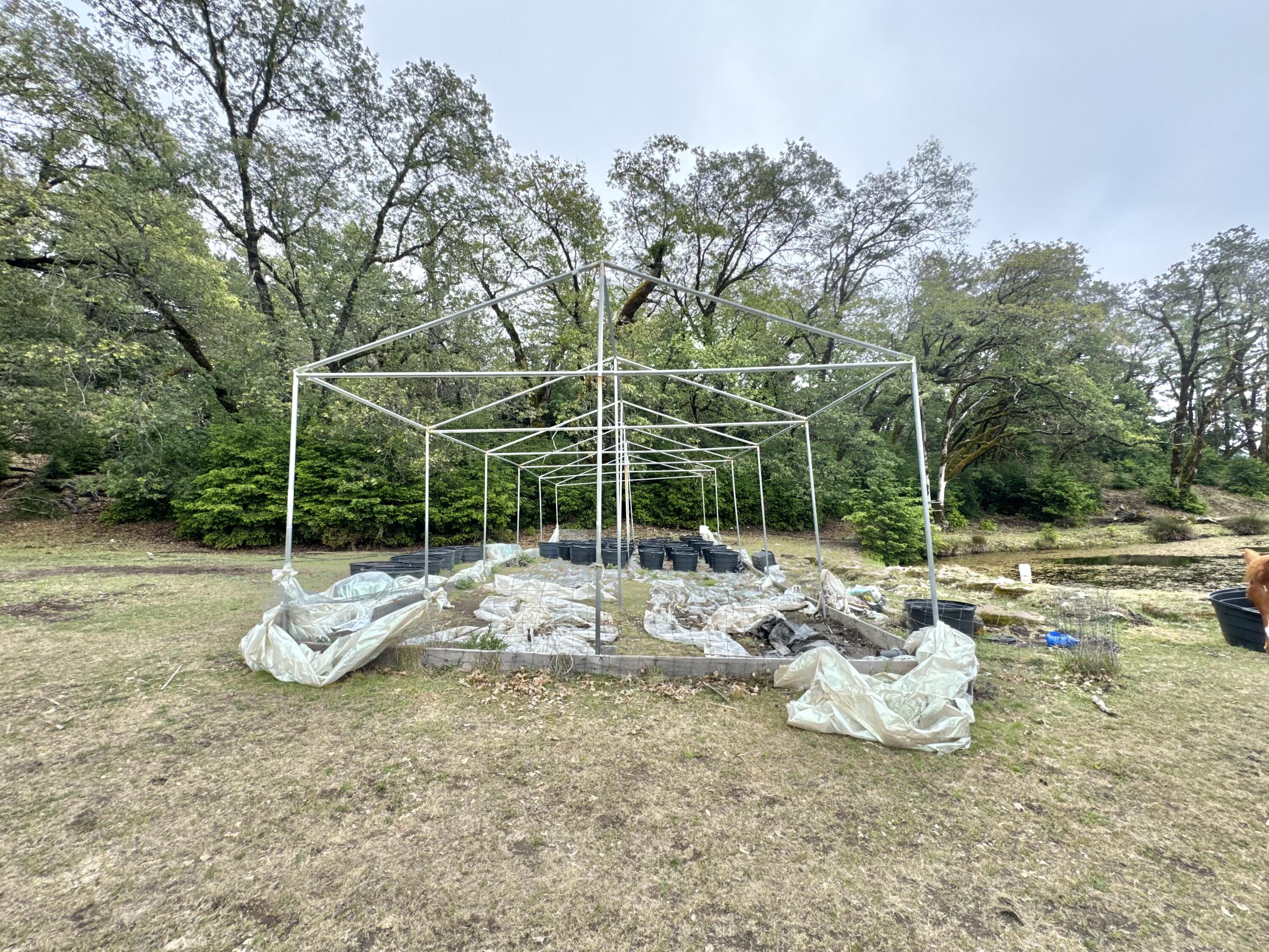 12575 Buck Mountain Road