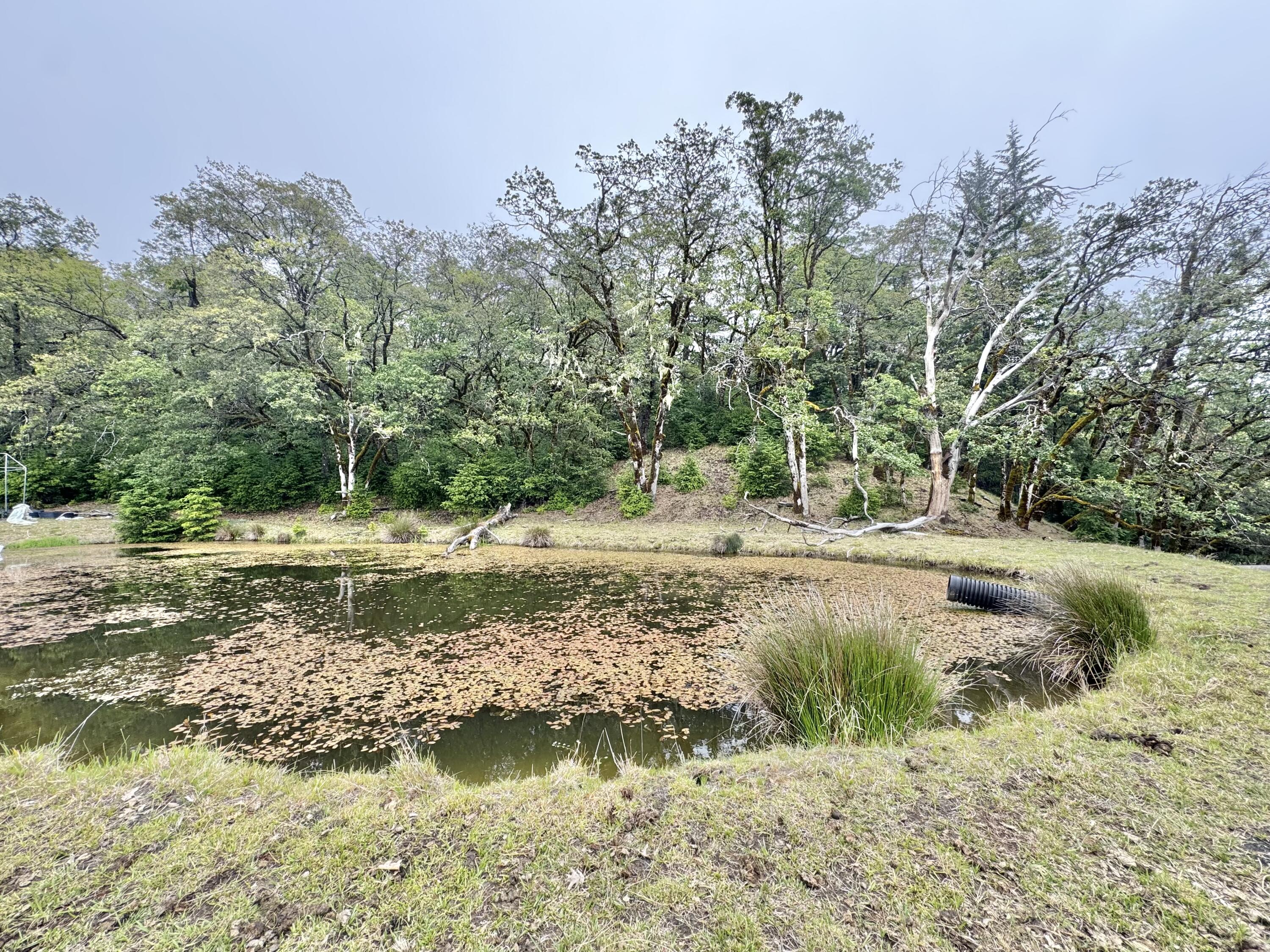 12575 Buck Mountain Road