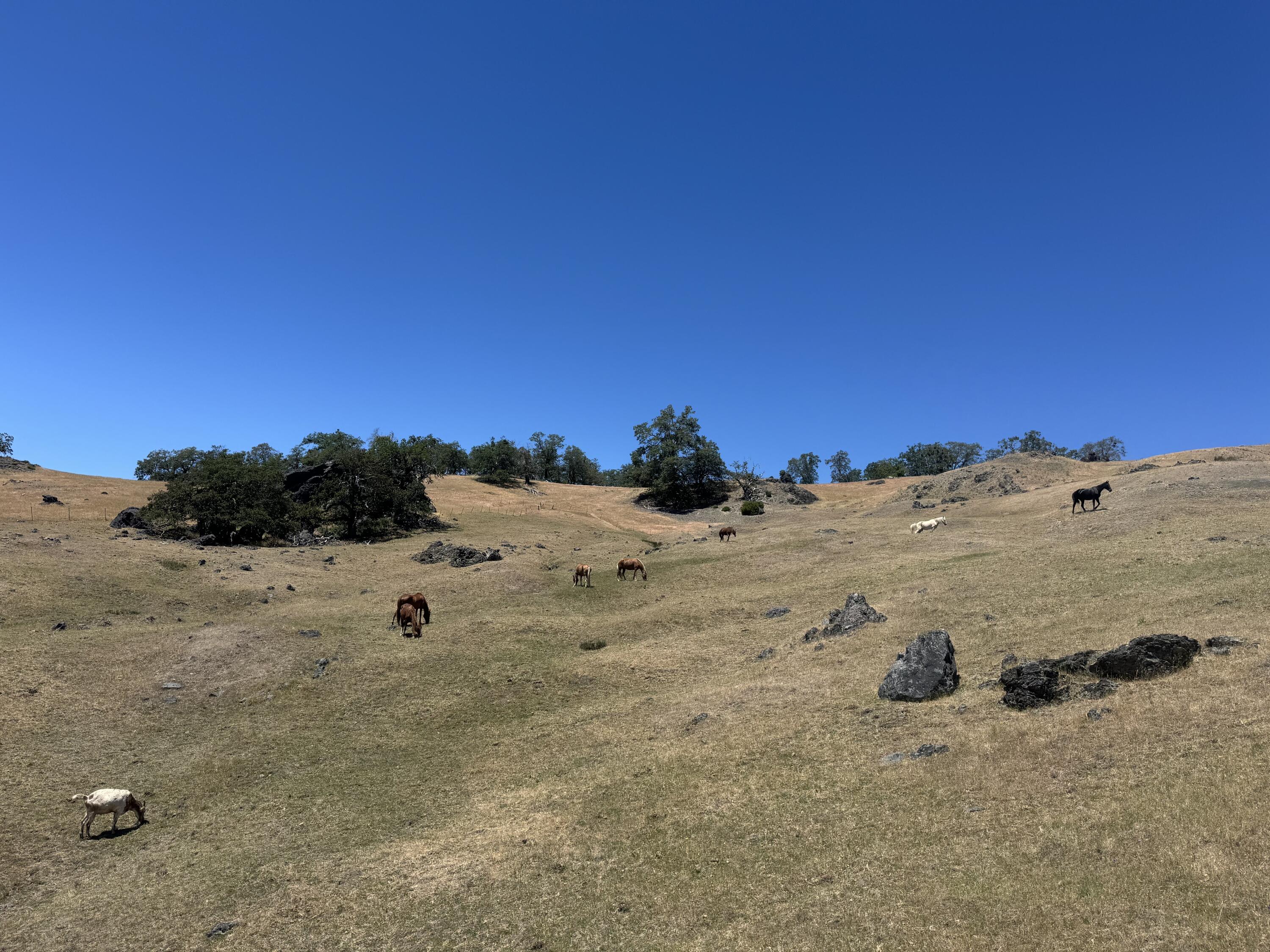 12575 Buck Mountain Road