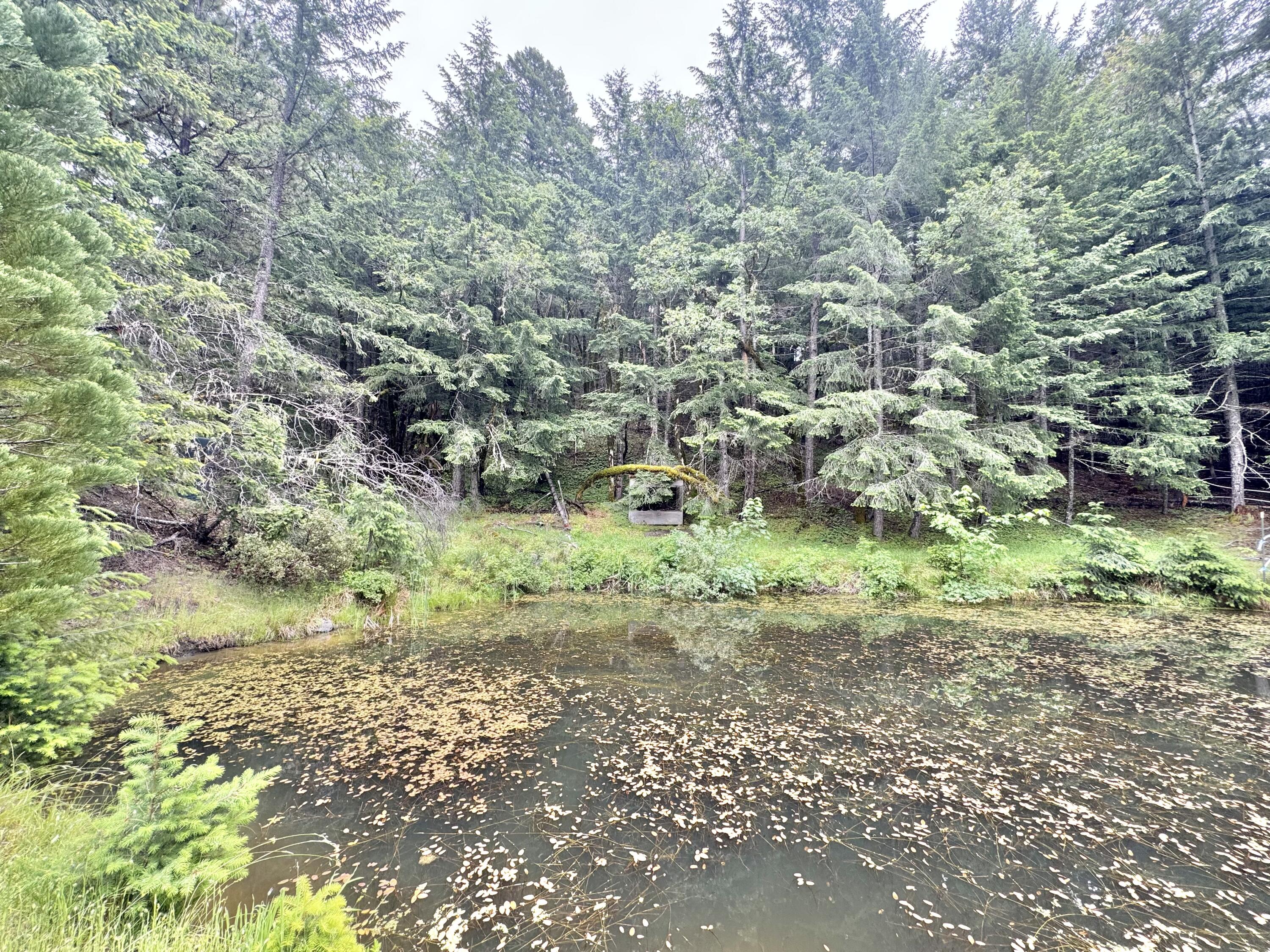 12575 Buck Mountain Road