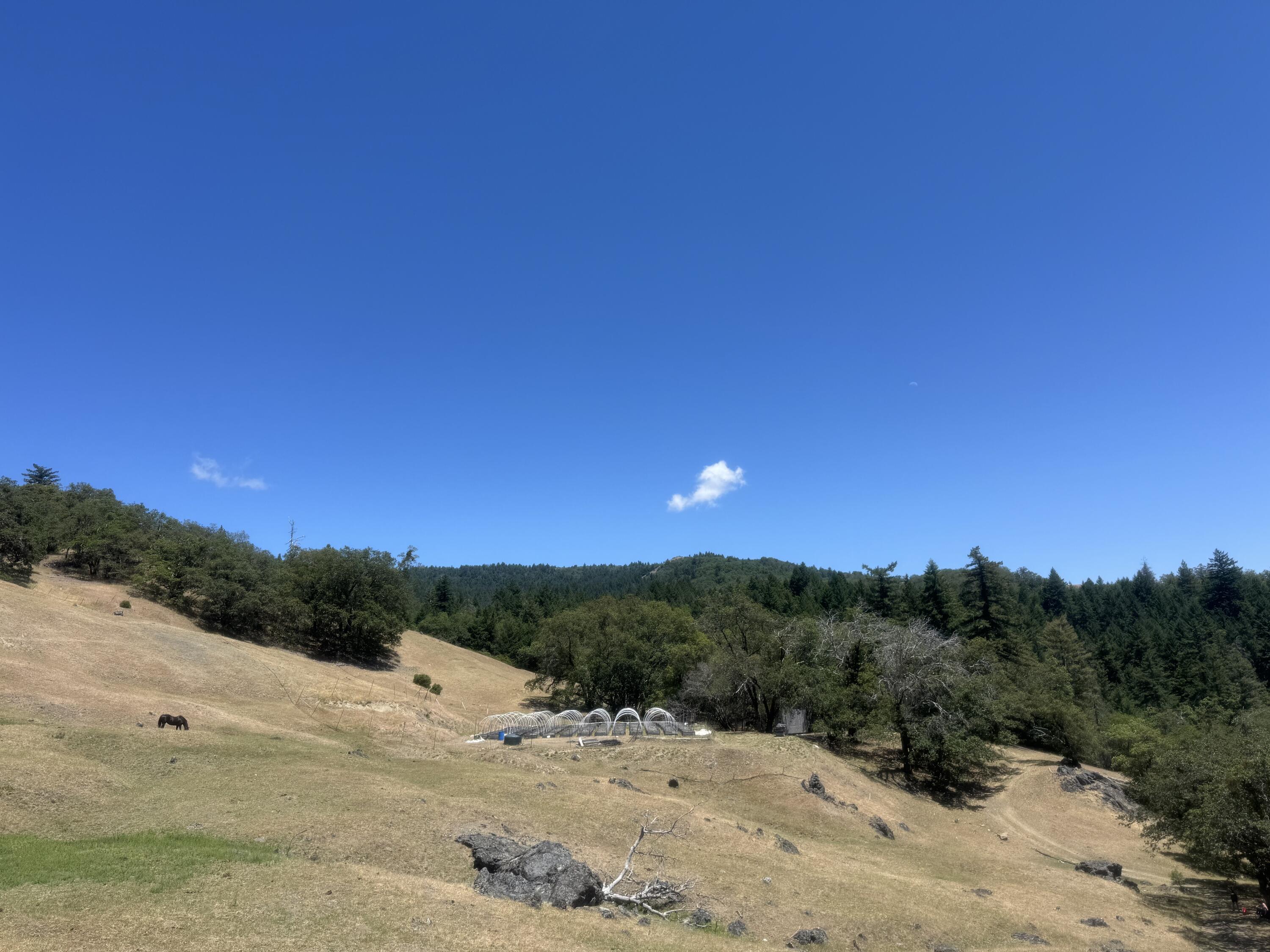 12575 Buck Mountain Road