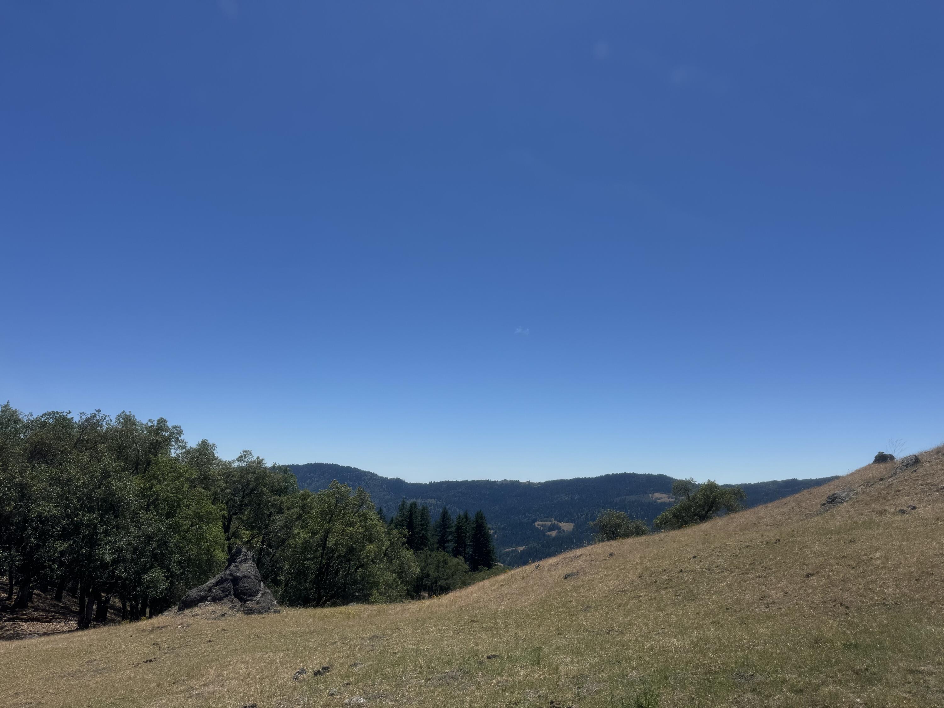 12575 Buck Mountain Road