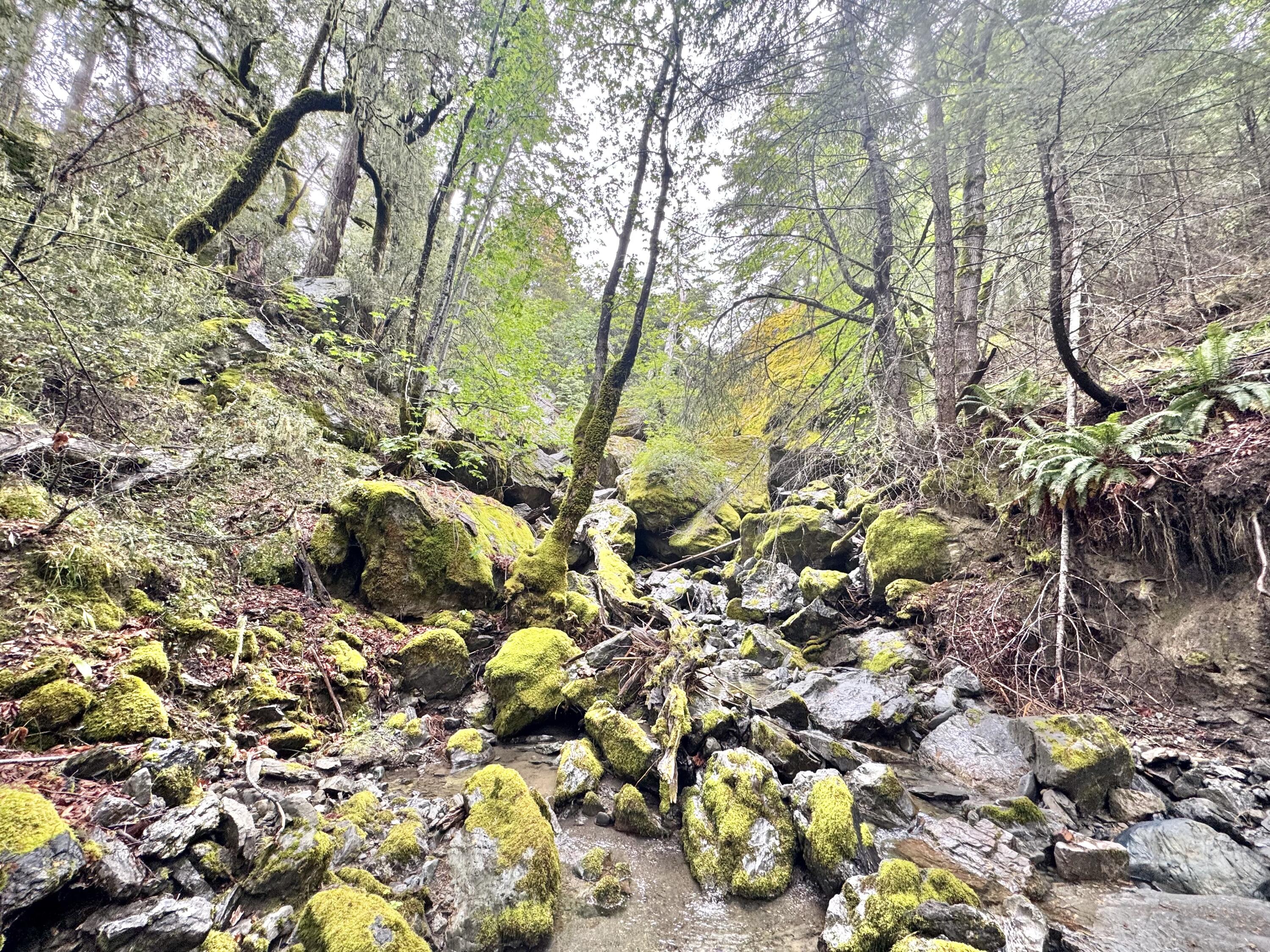 12575 Buck Mountain Road