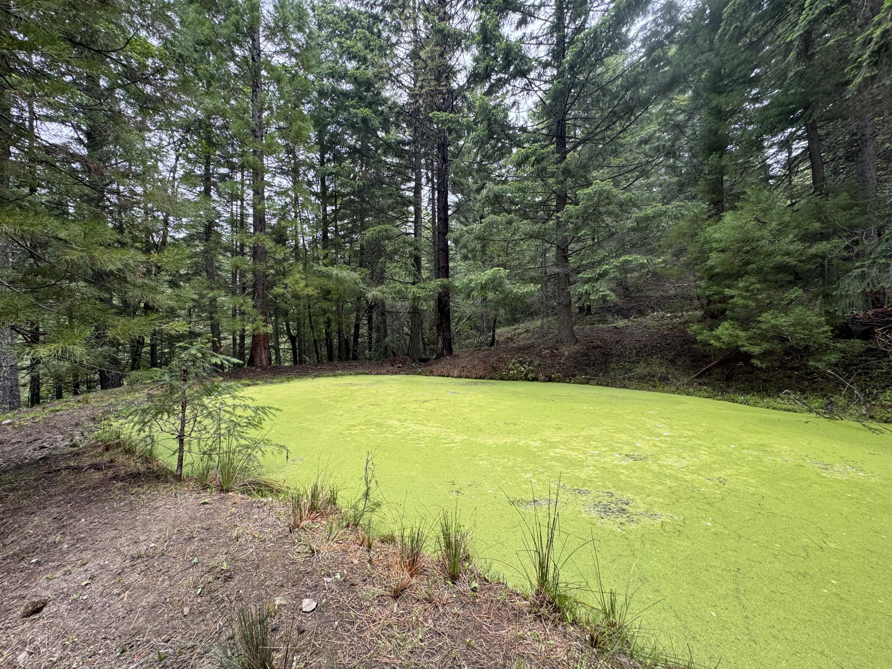 12575 Buck Mountain Road