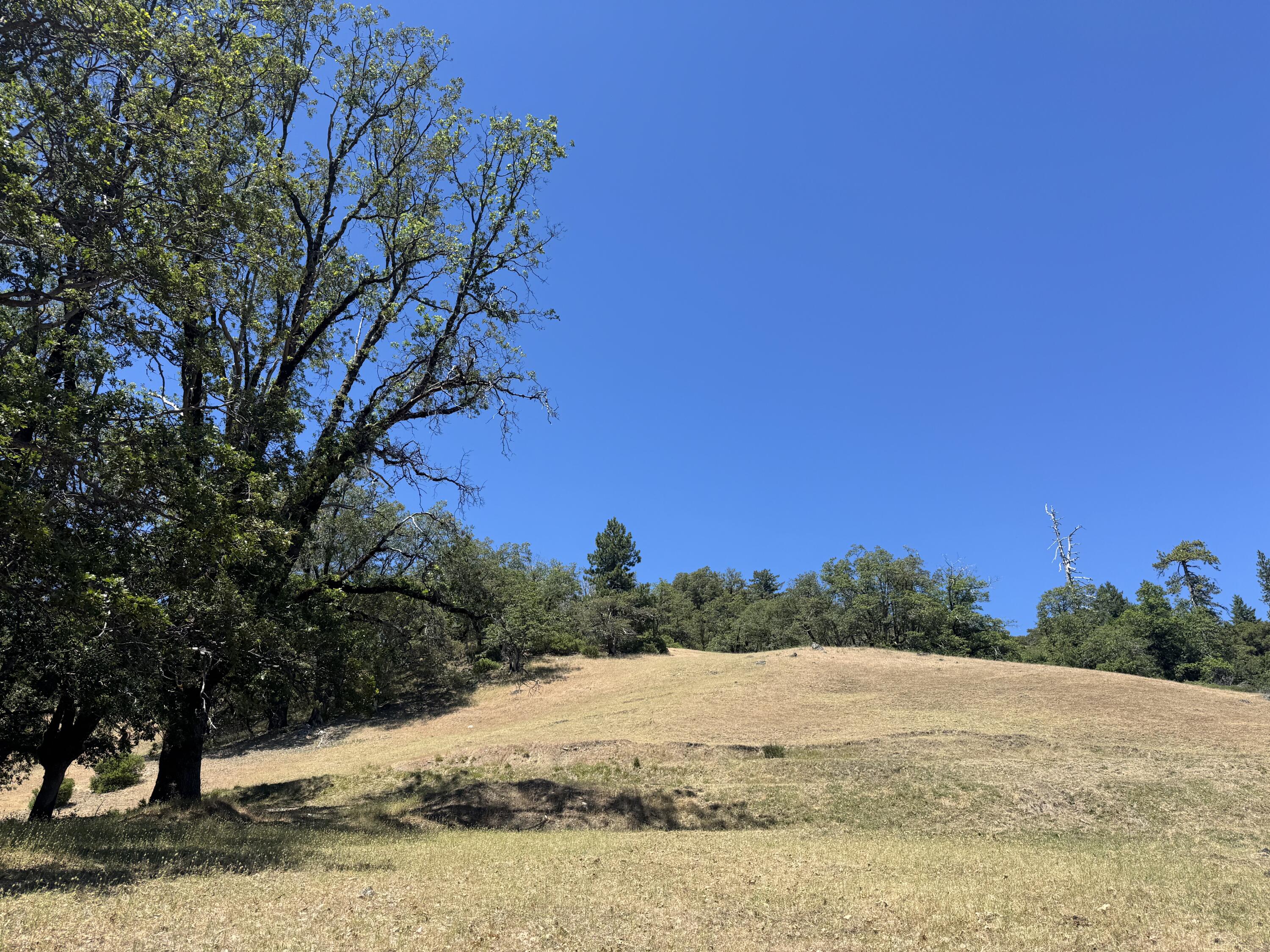 12575 Buck Mountain Road