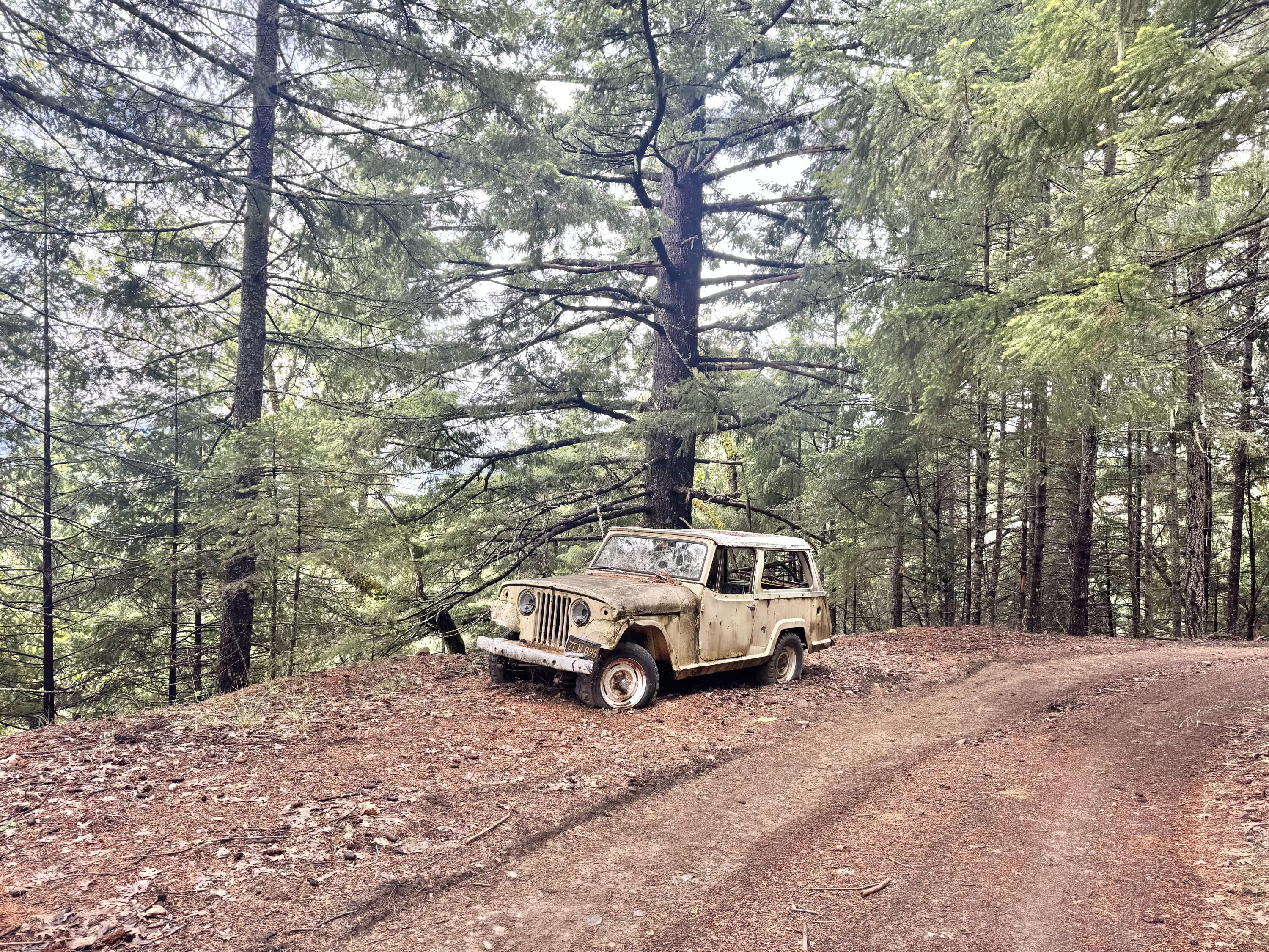 12575 Buck Mountain Road
