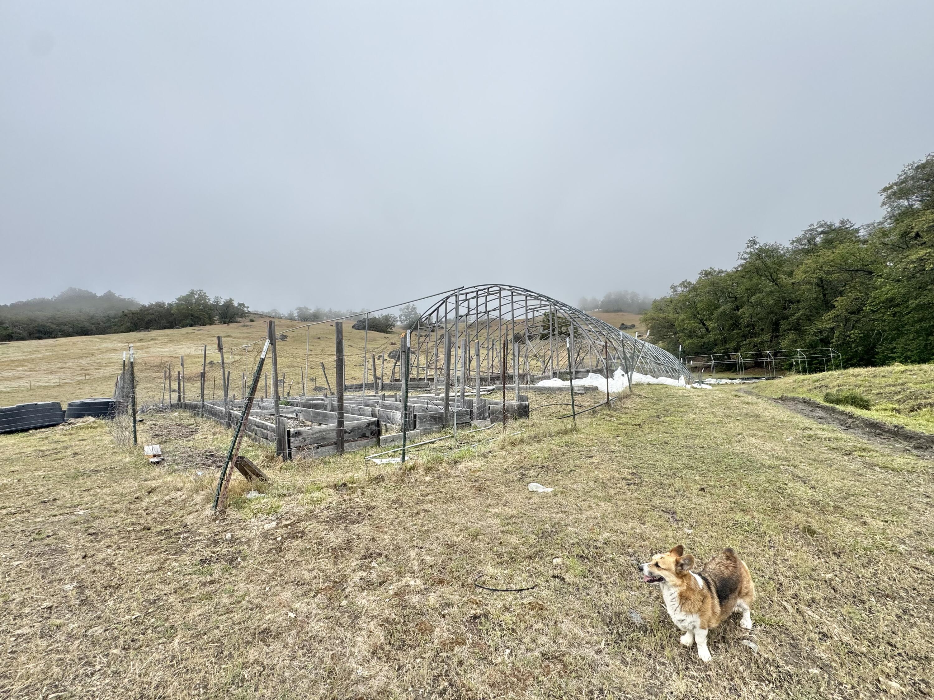 12575 Buck Mountain Road