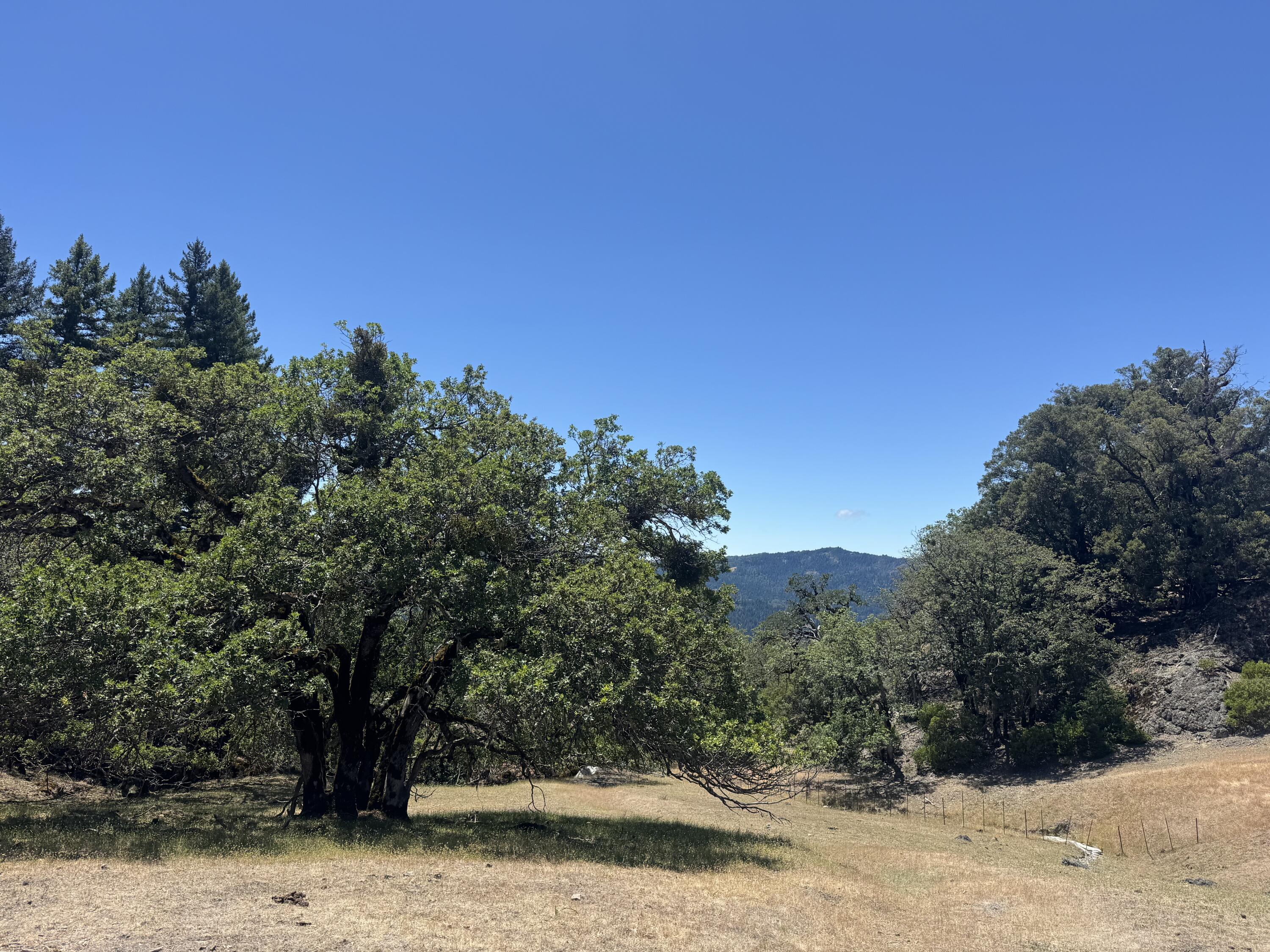 12575 Buck Mountain Road