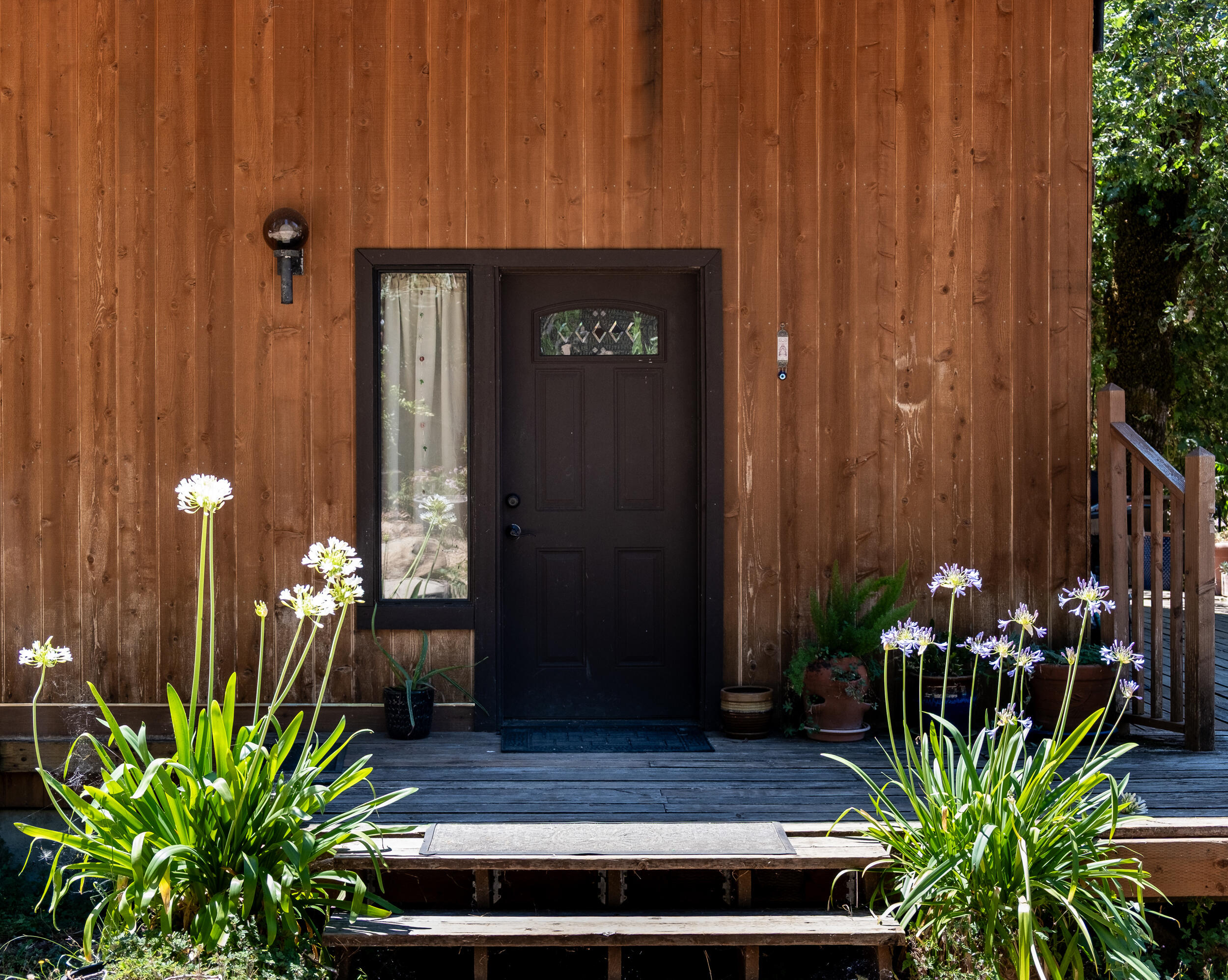 167 Coon Creek Road