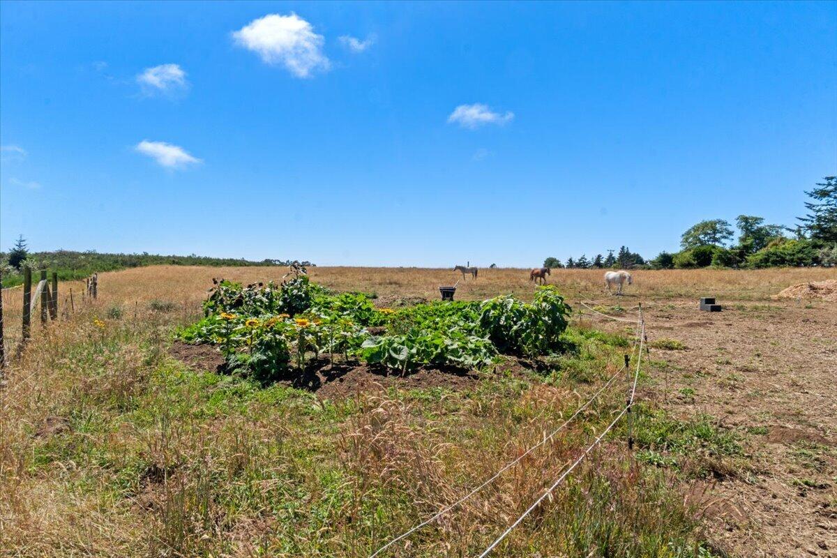 3466/3470 Dows Prairie Road, McKinleyville