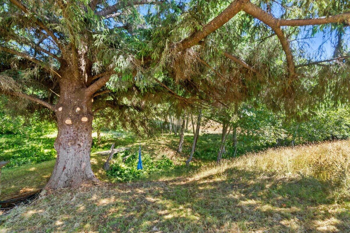 3466/3470 Dows Prairie Road, McKinleyville