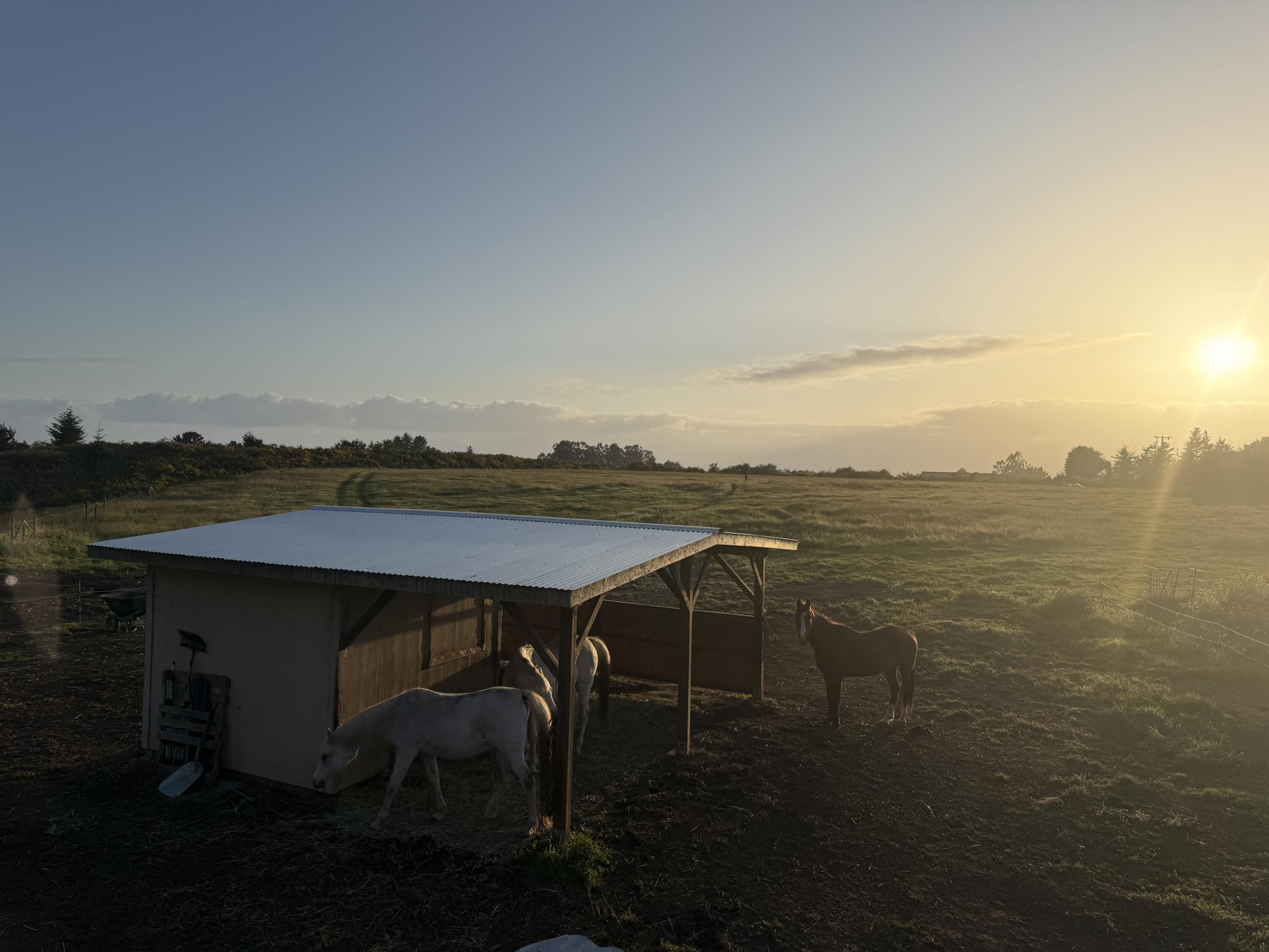 3466/3470 Dows Prairie Road, McKinleyville