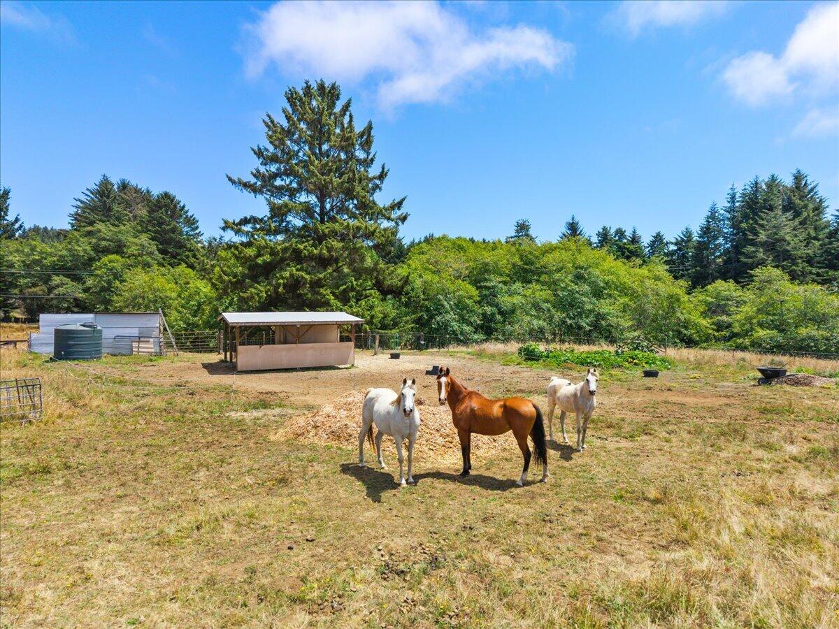 3466/3470 Dows Prairie Road, McKinleyville