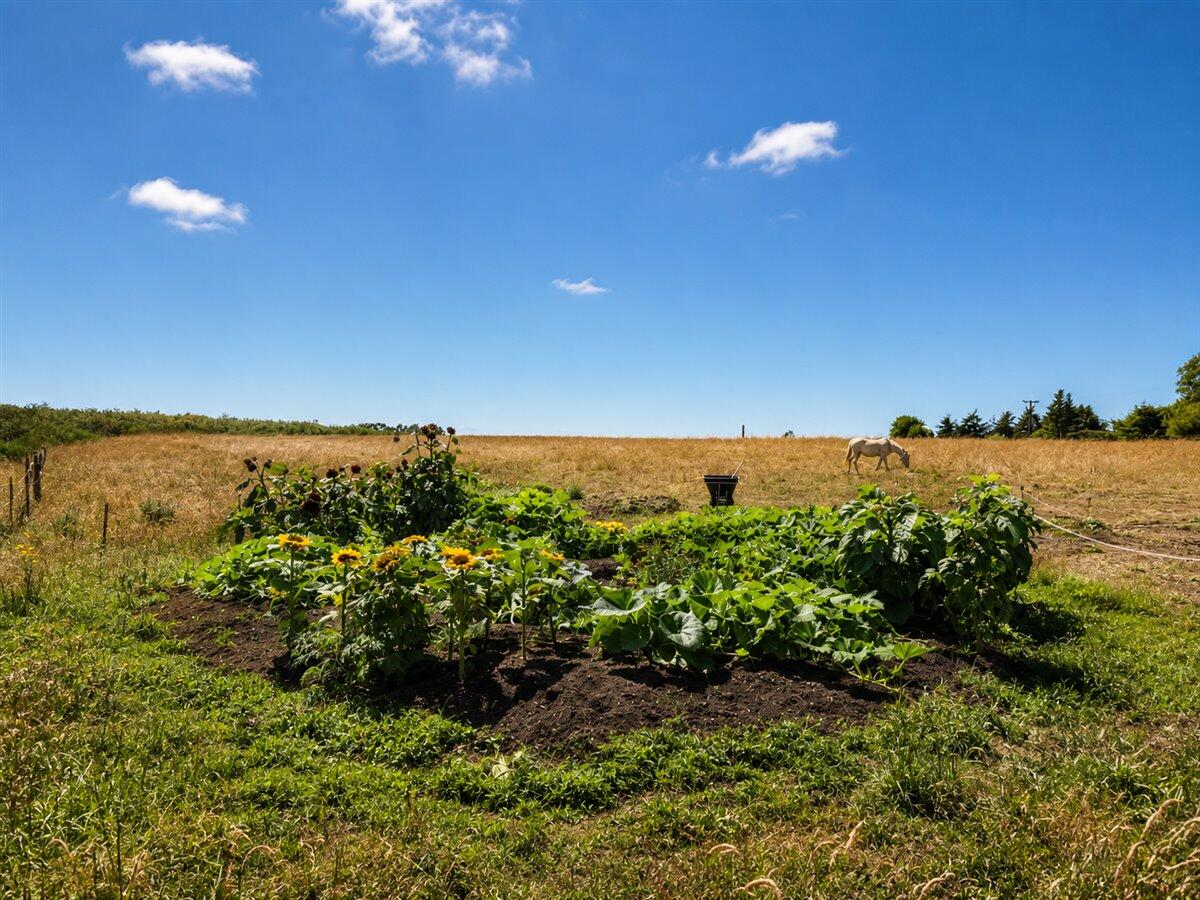 3466/3470 Dows Prairie Road, McKinleyville