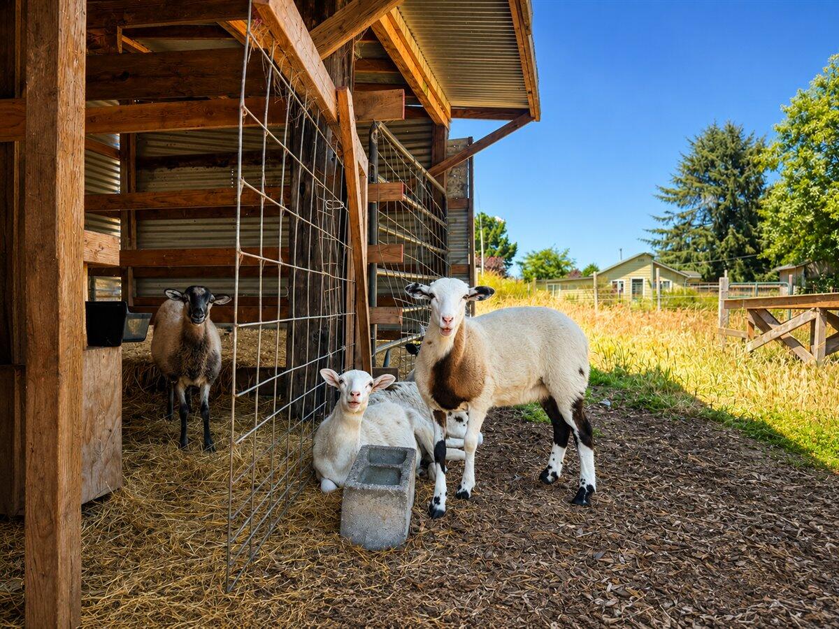 3466/3470 Dows Prairie Road, McKinleyville