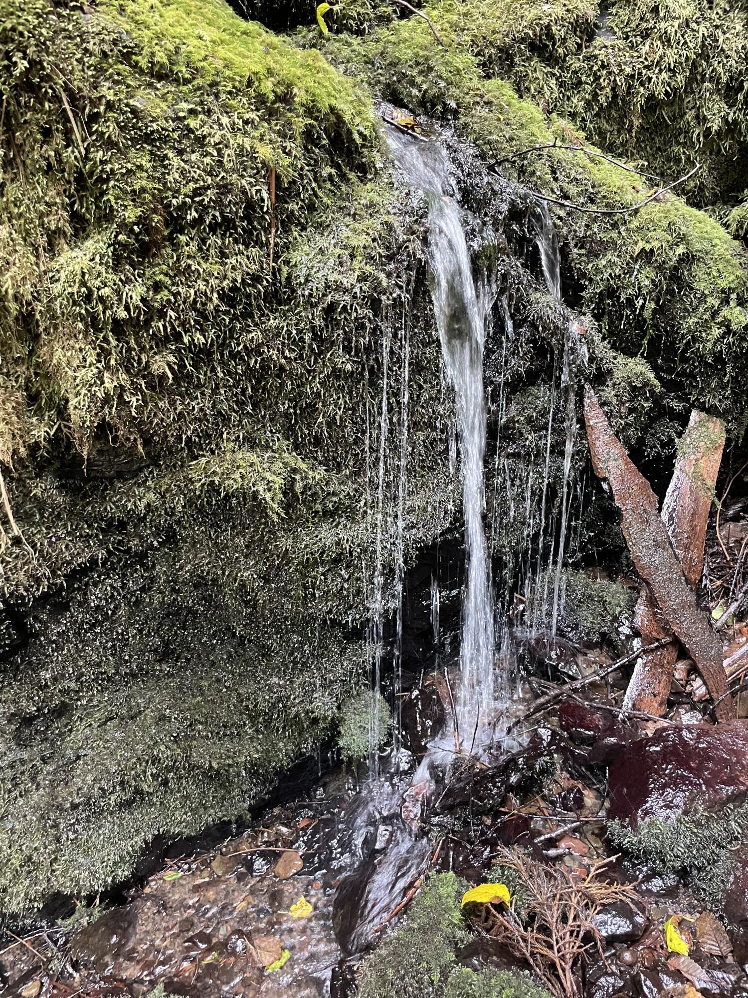 871 Burnt Stump Lane, McKinleyville