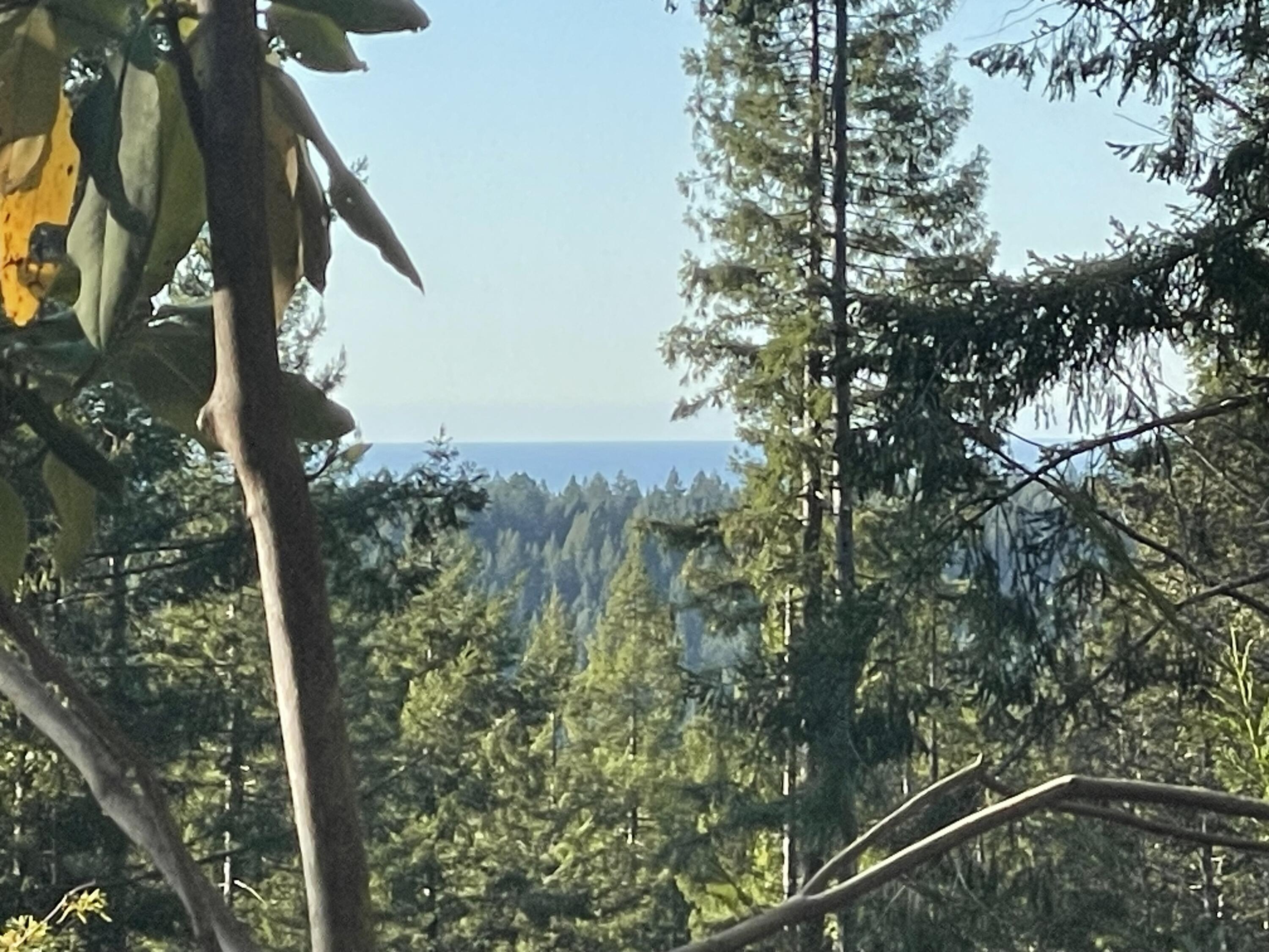 871 Burnt Stump Lane, McKinleyville