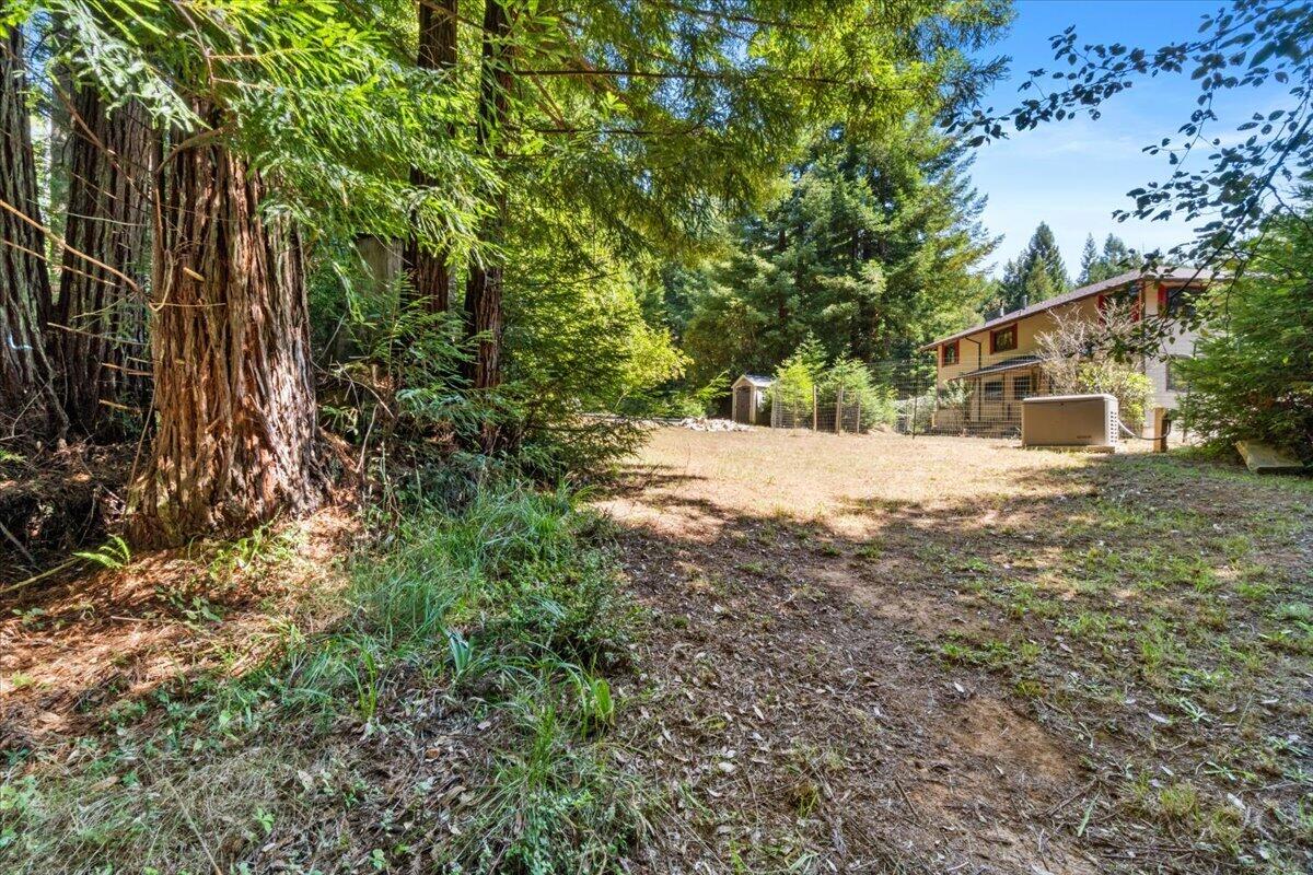 871 Burnt Stump Lane, McKinleyville