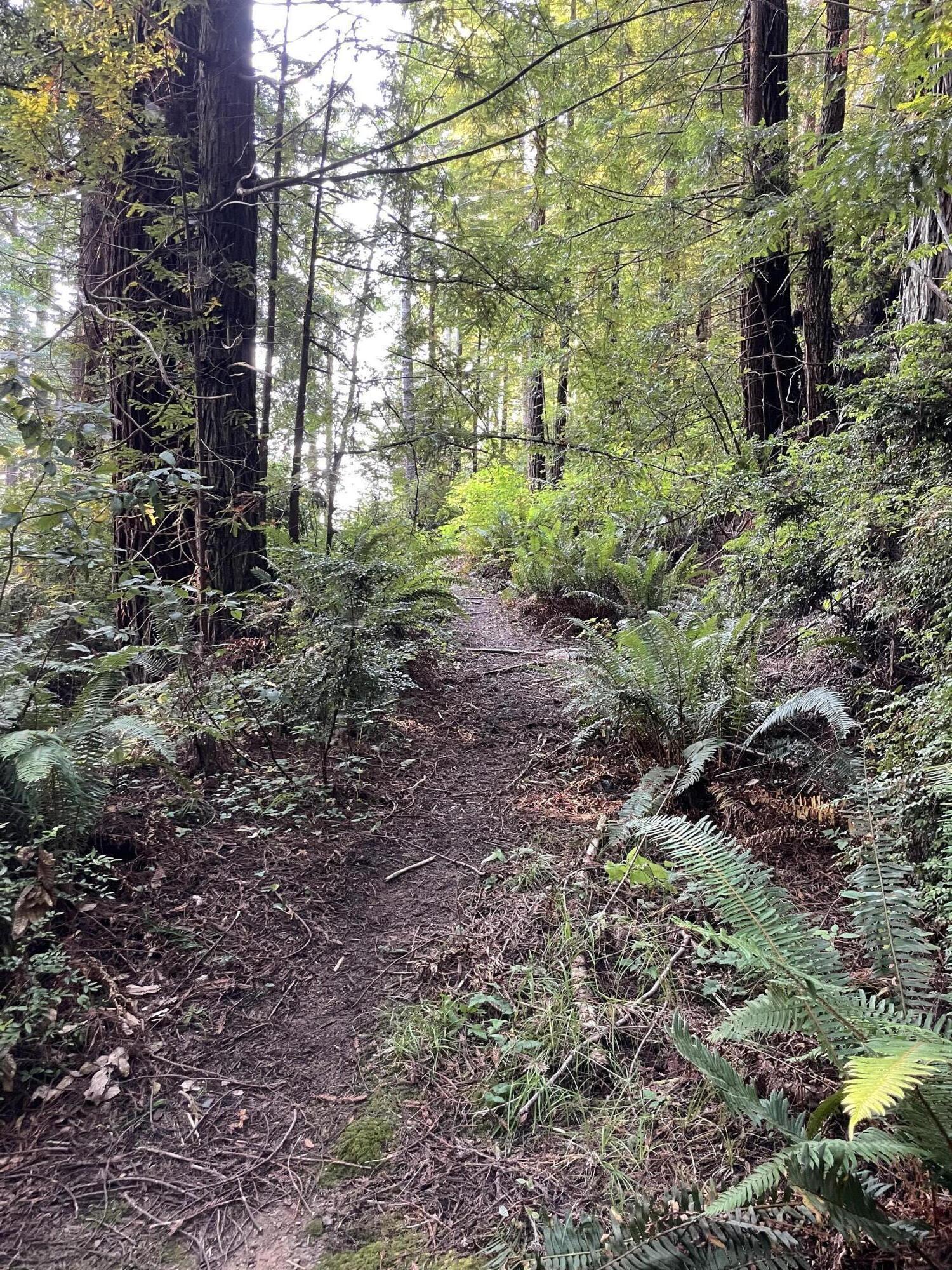 871 Burnt Stump Lane, McKinleyville