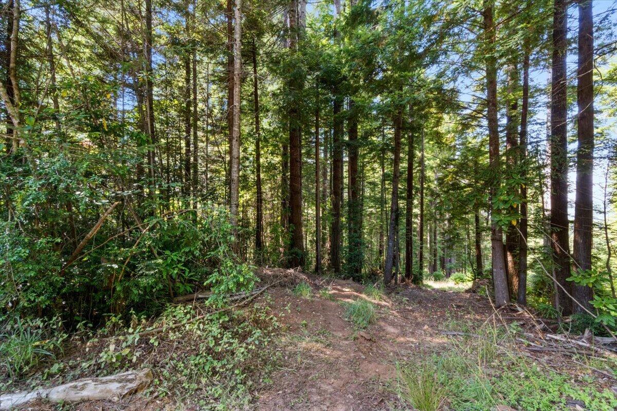 871 Burnt Stump Lane, McKinleyville