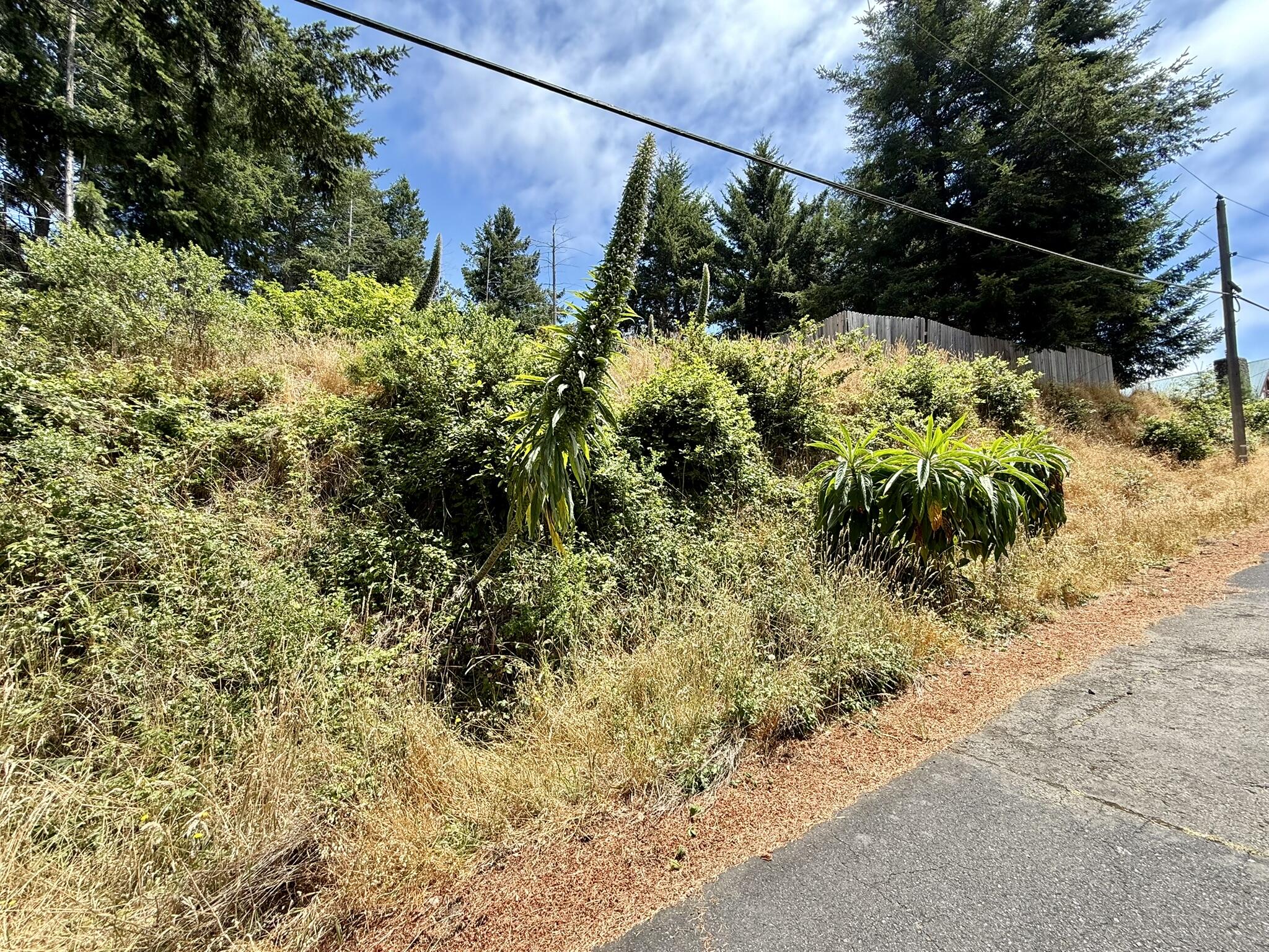 117 Ridge Road
