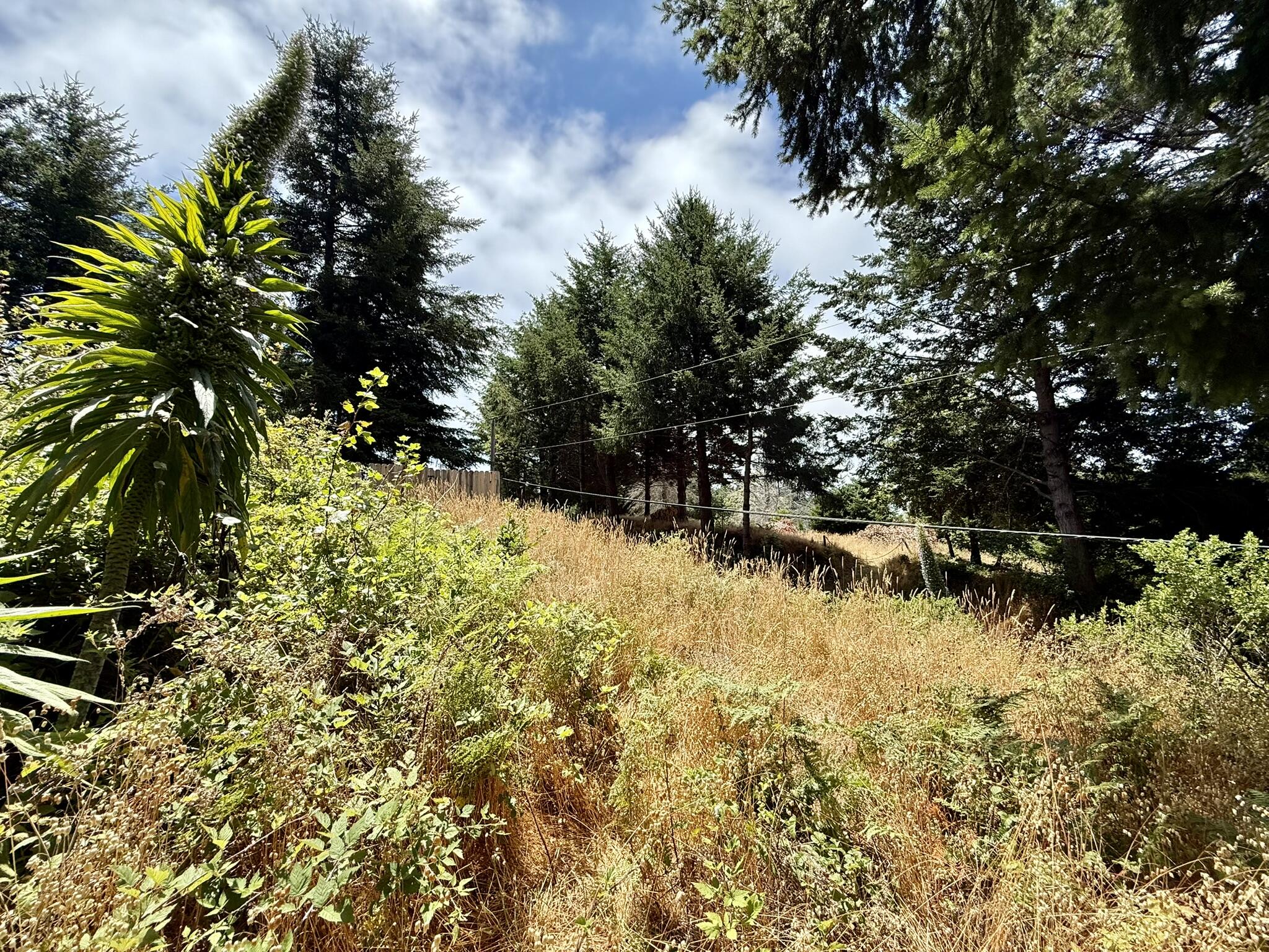 117 Ridge Road