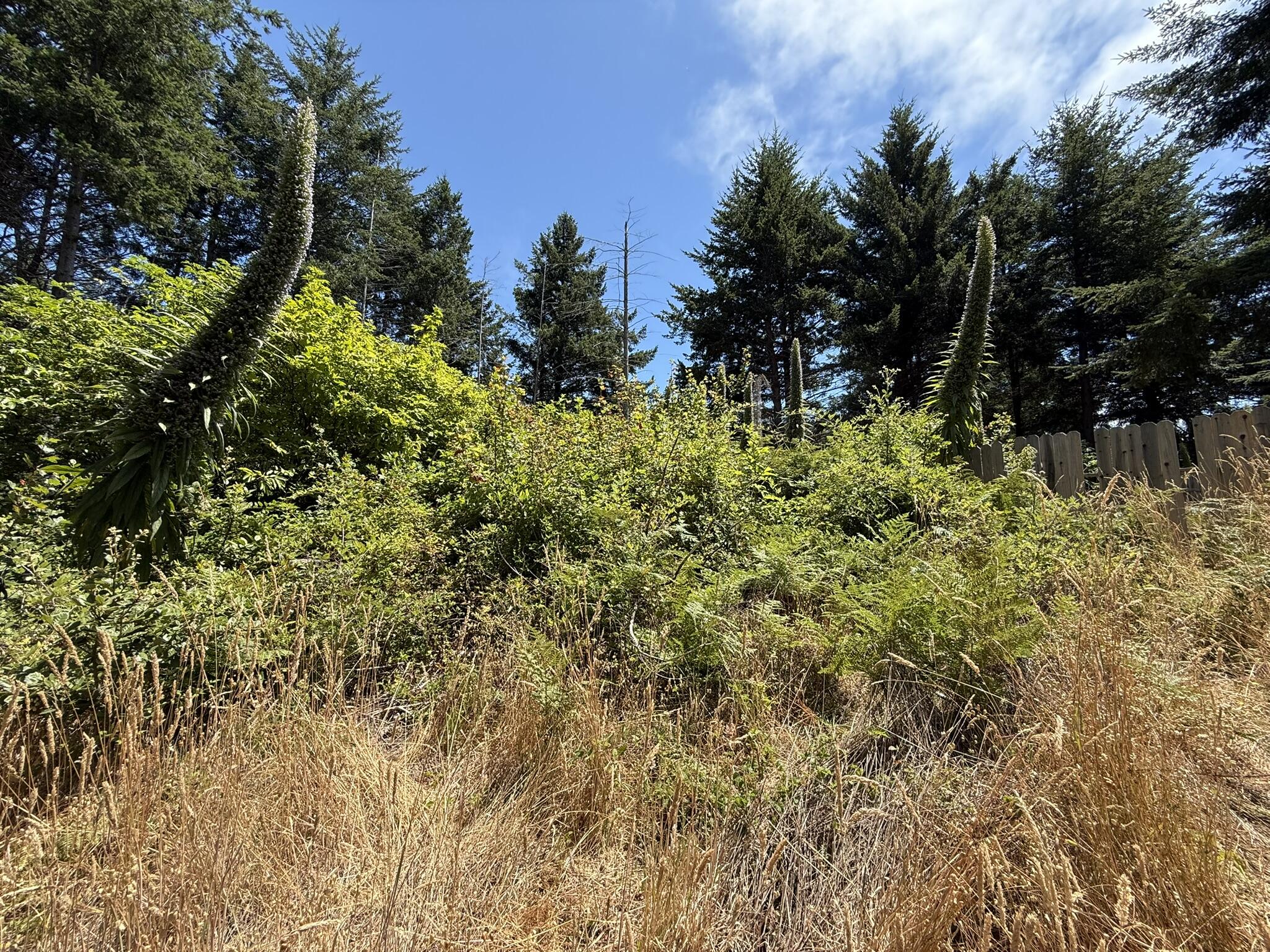 117 Ridge Road