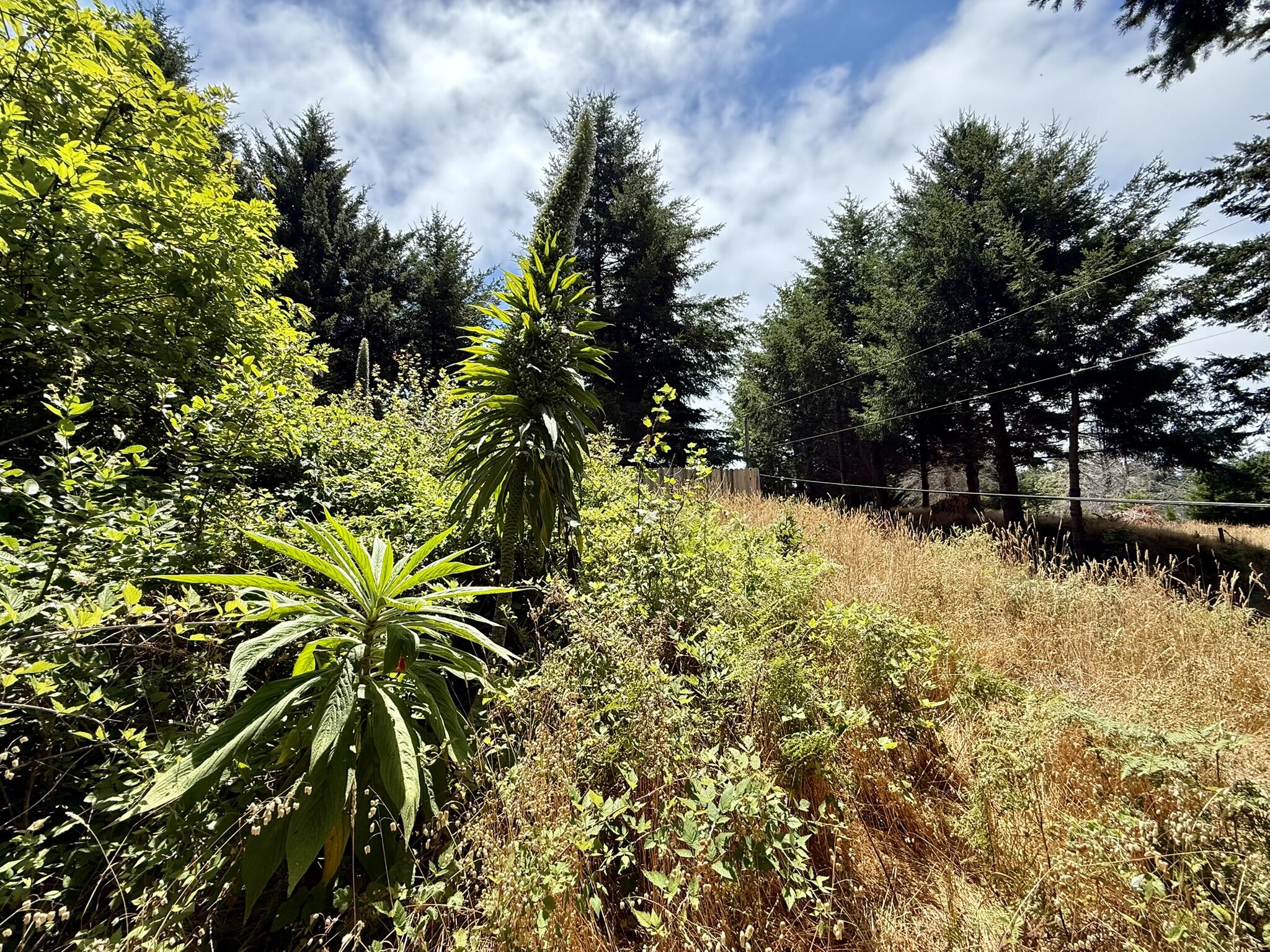 117 Ridge Road