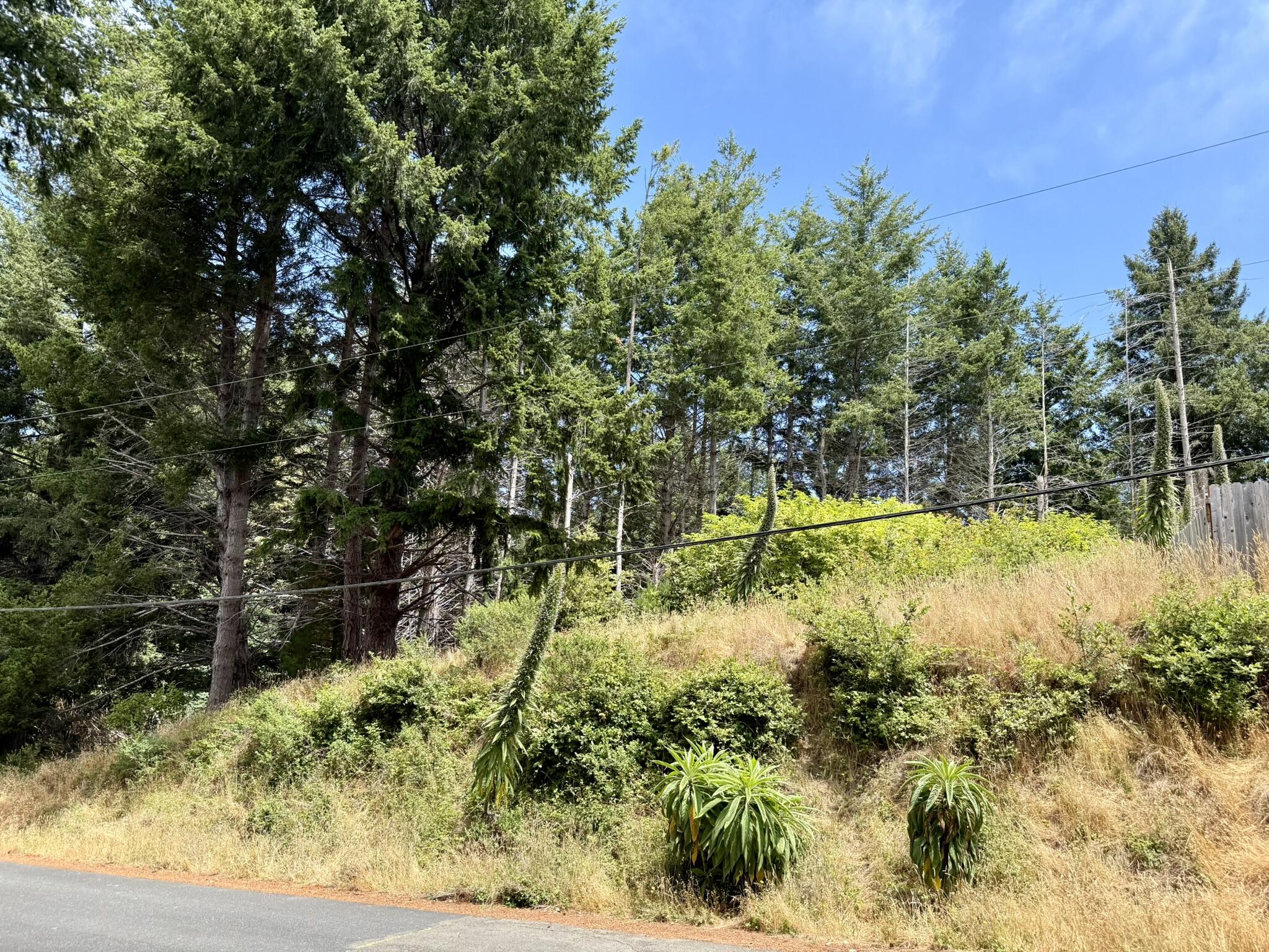 117 Ridge Road