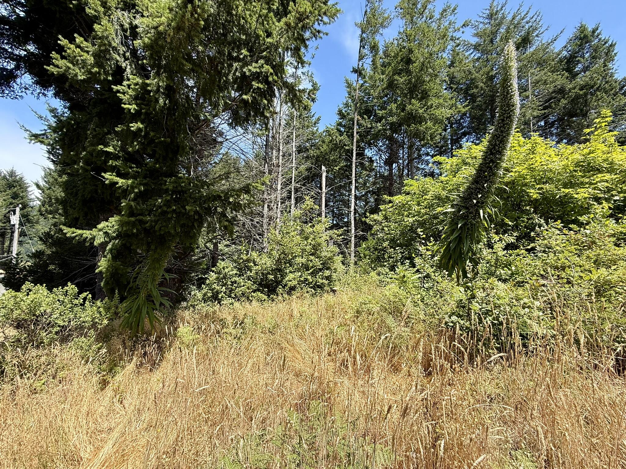 117 Ridge Road