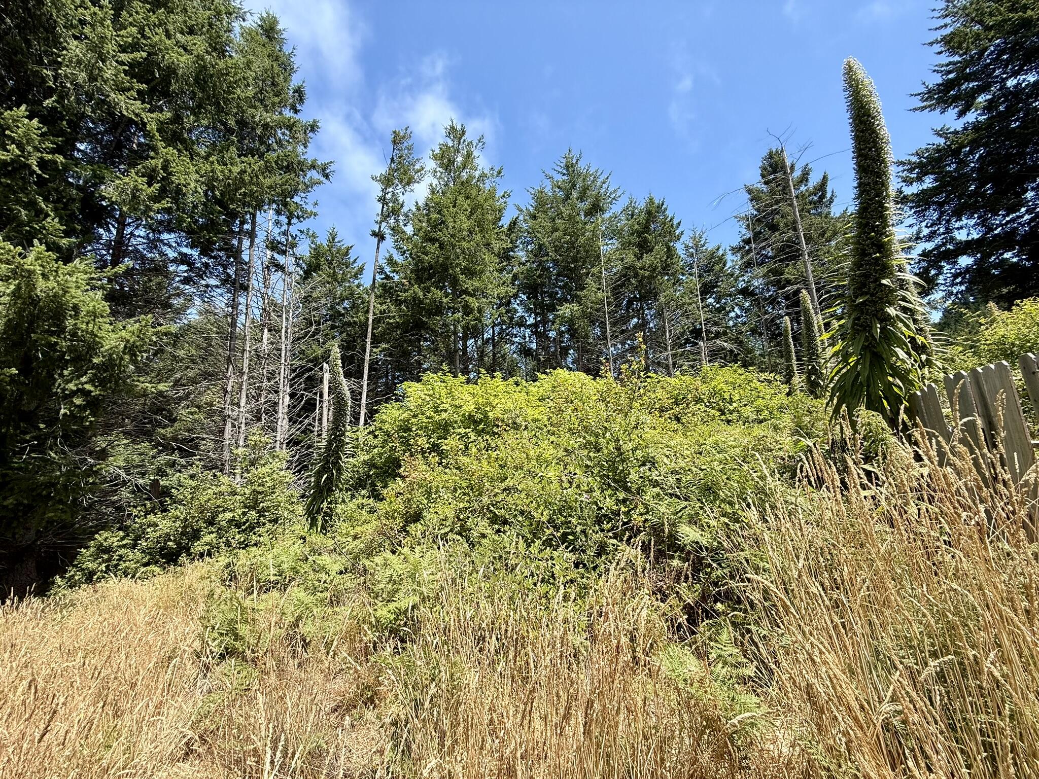 117 Ridge Road
