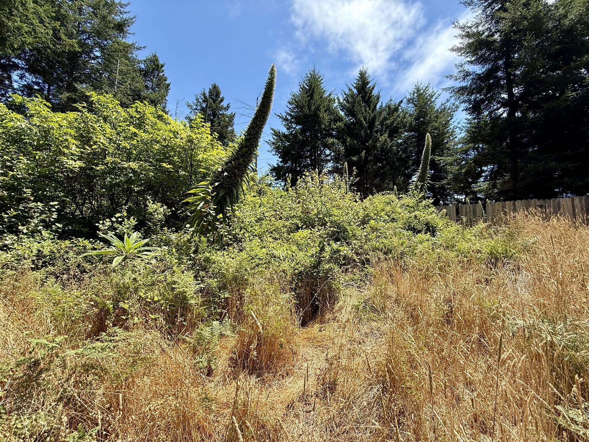 117 Ridge Road