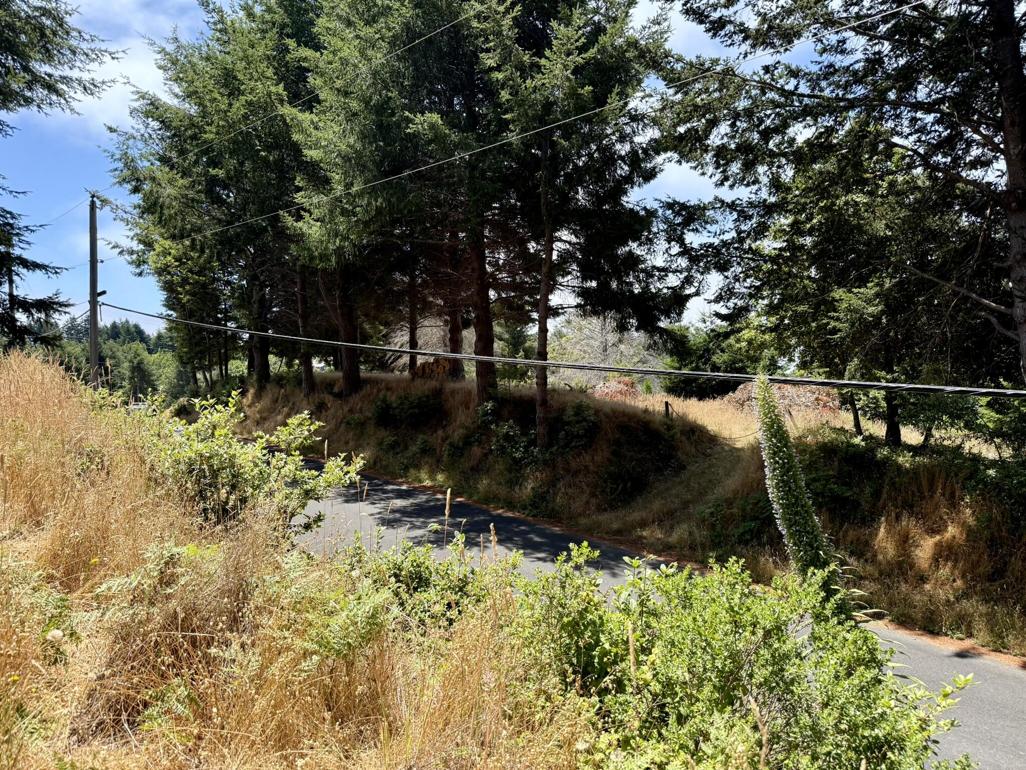 117 Ridge Road