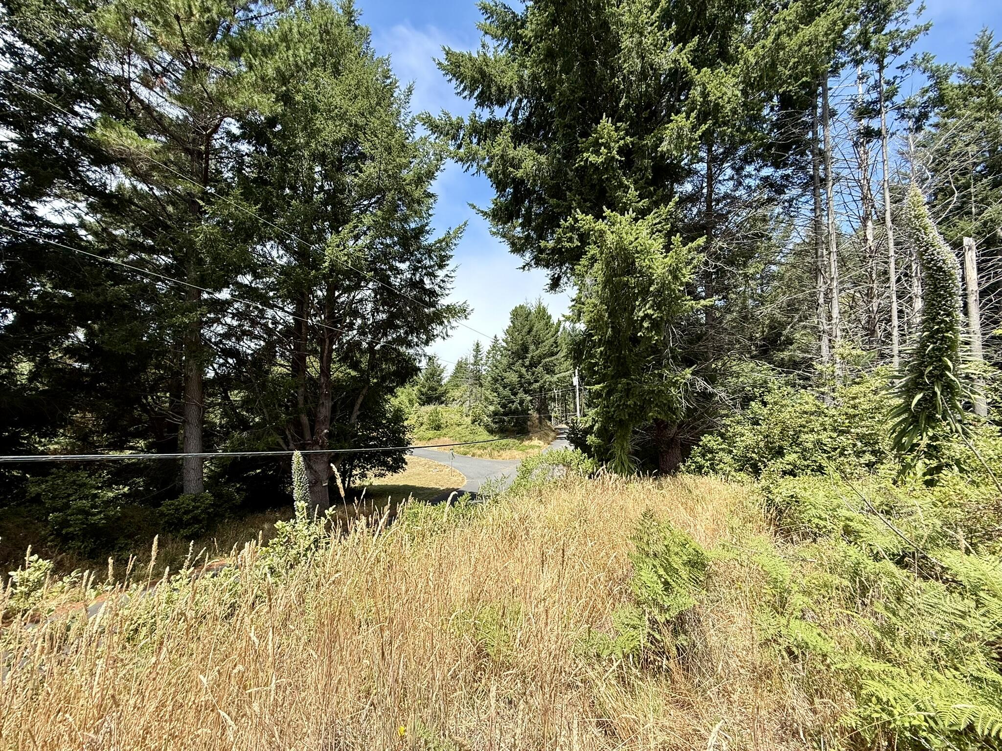 117 Ridge Road