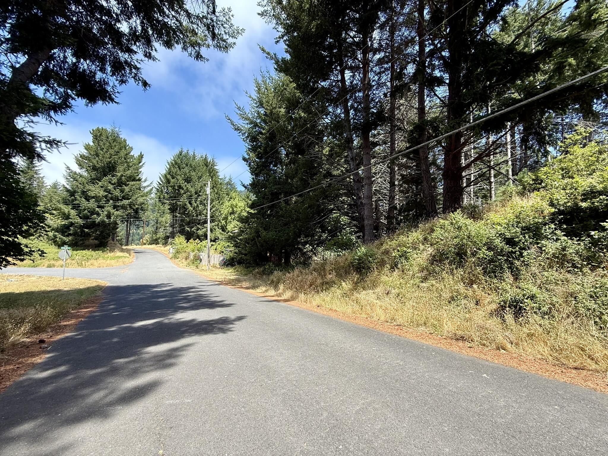 117 Ridge Road
