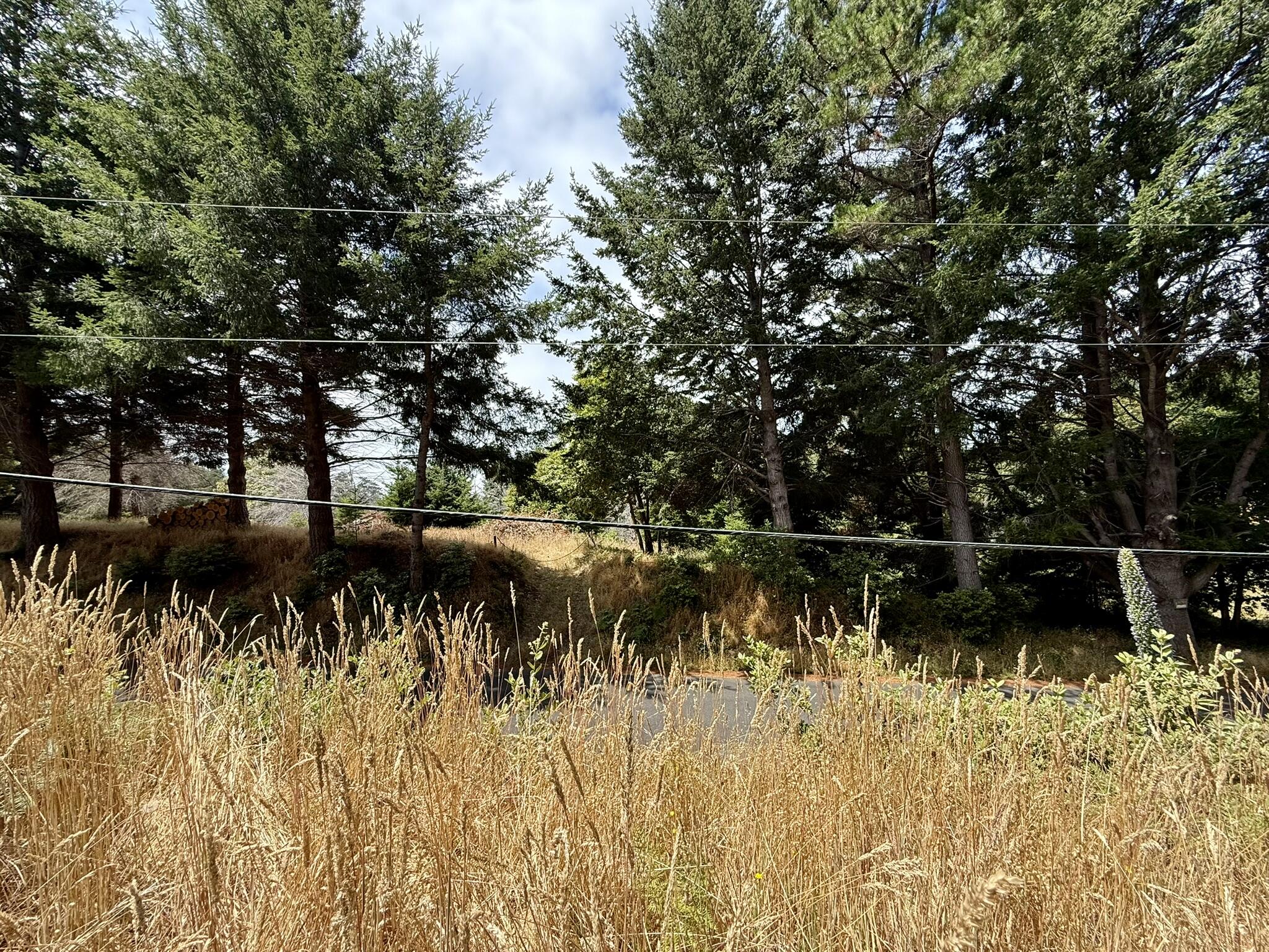 117 Ridge Road