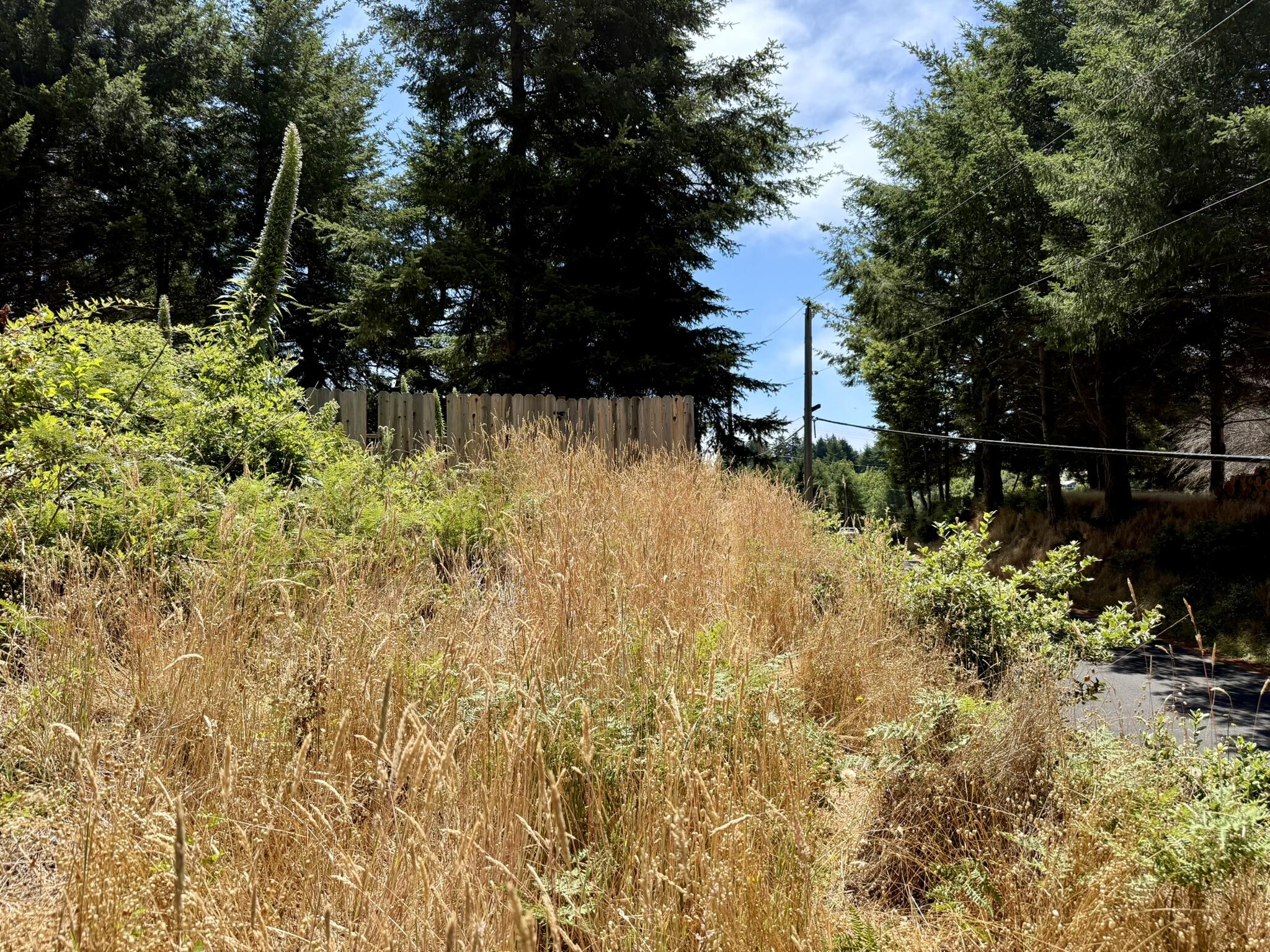 117 Ridge Road