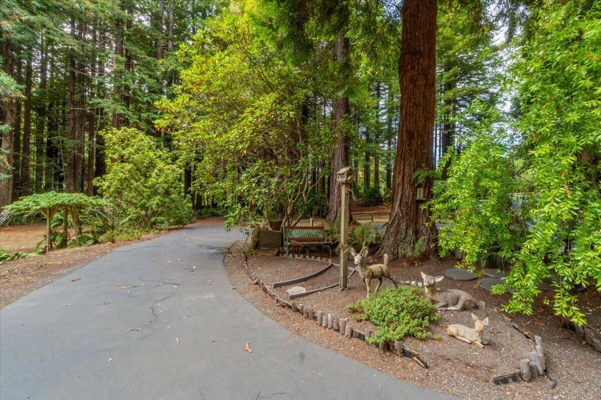 5170 Woodland Way