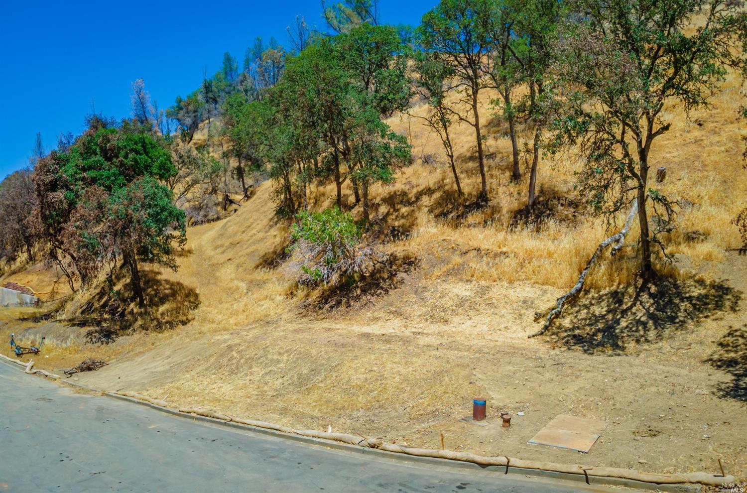 1102 Arroyo Grande Dr