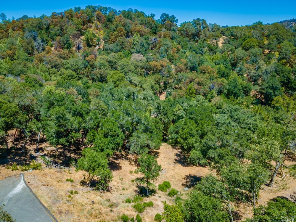 32 Catalpa Ct