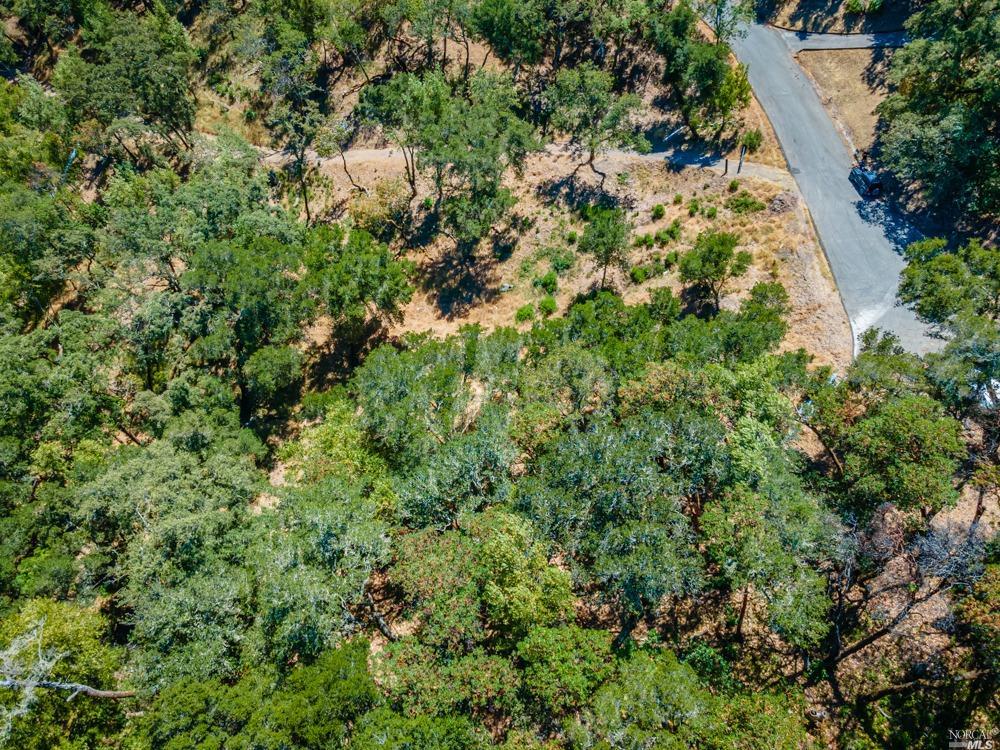 32 Catalpa Ct