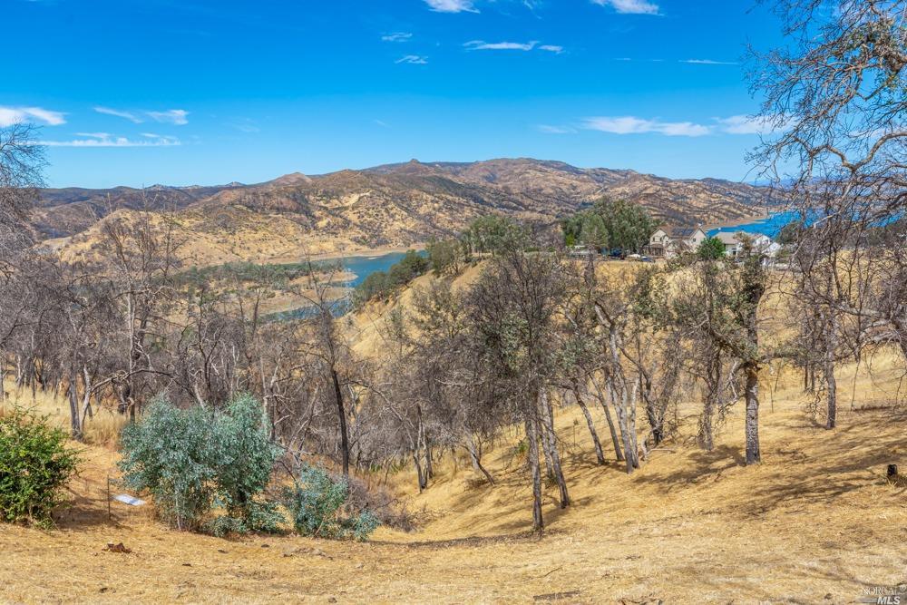 208 Manzanita Ln