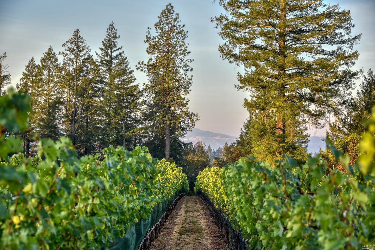 285 Howell Mountain Rd