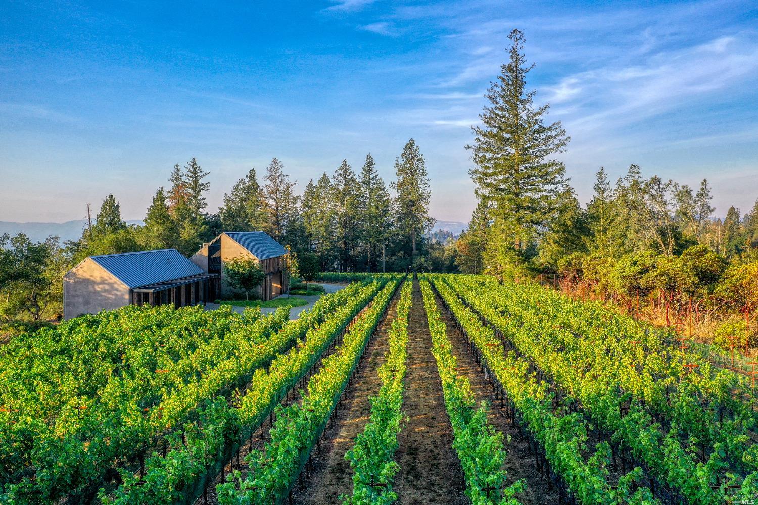 285 Howell Mountain Rd