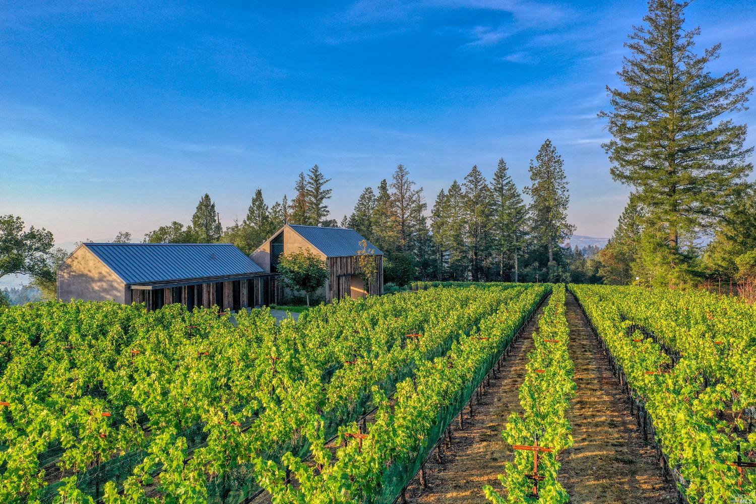 285 Howell Mountain Rd