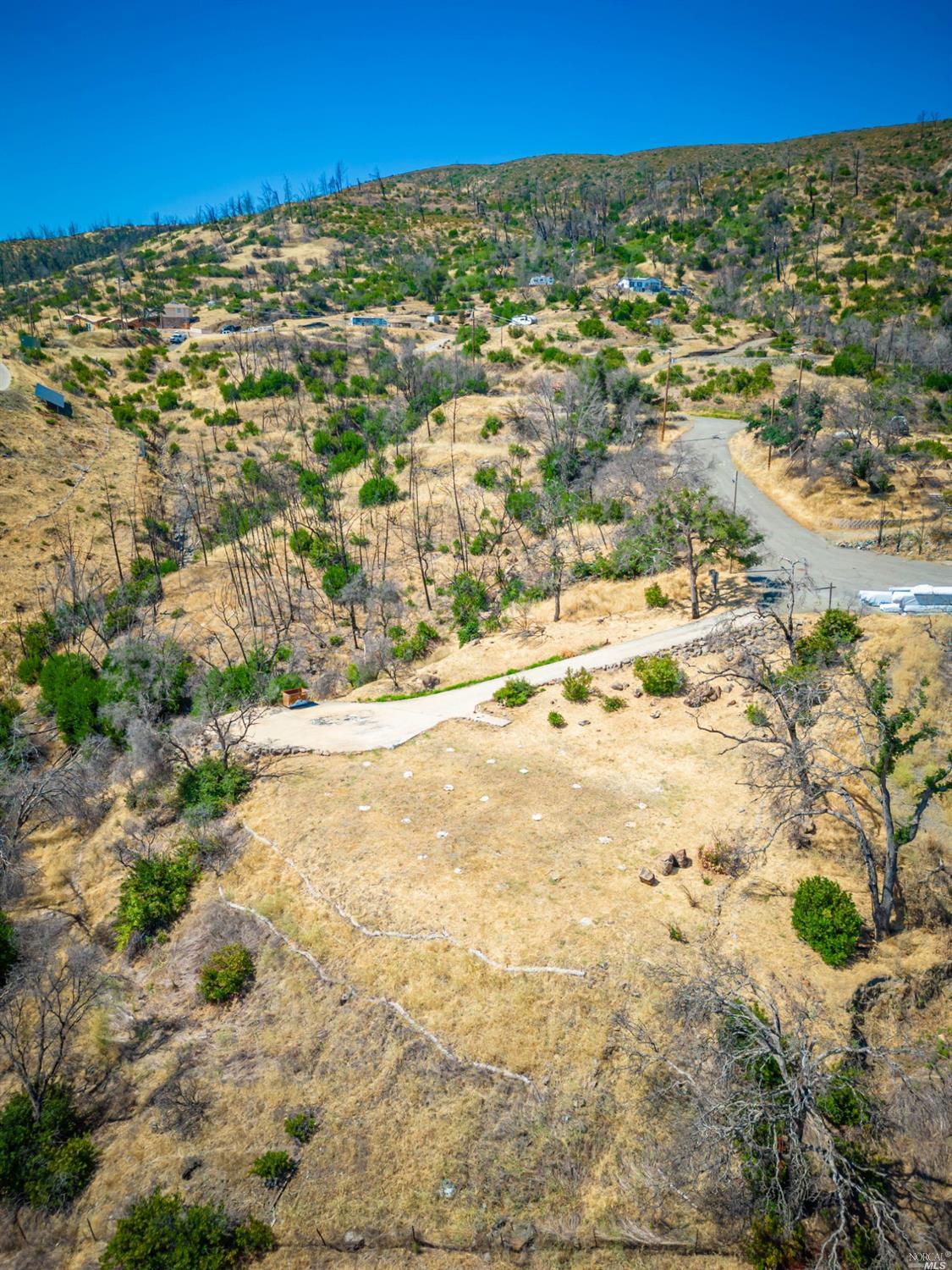 16 Live Oak Rd