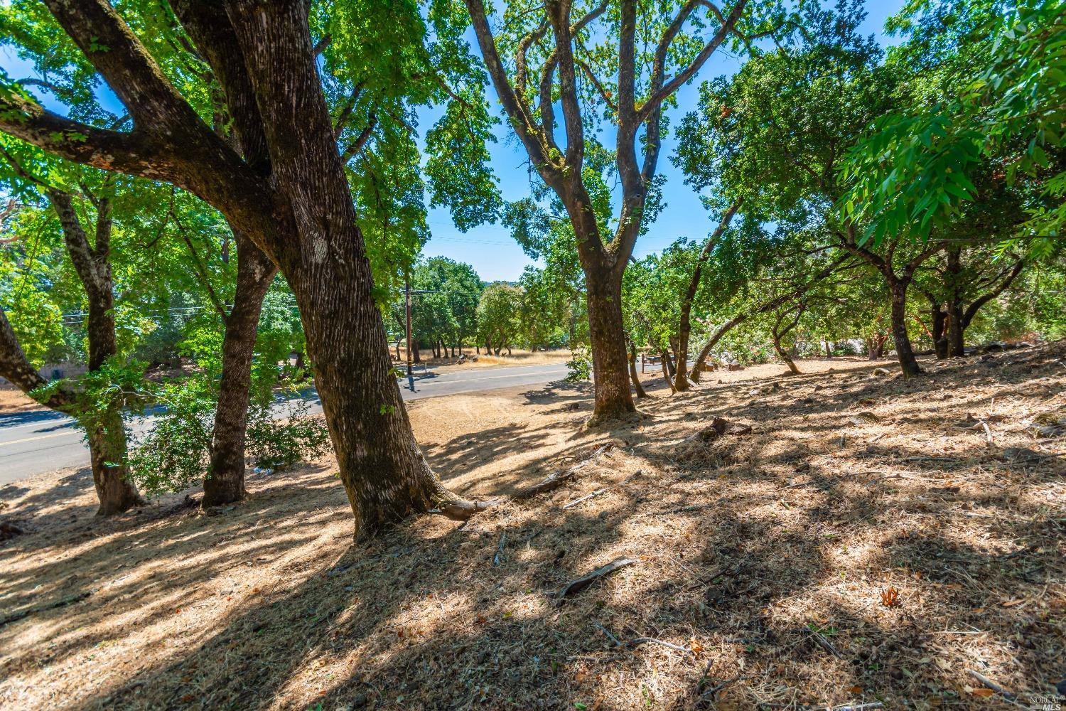 Country Club Ln #263