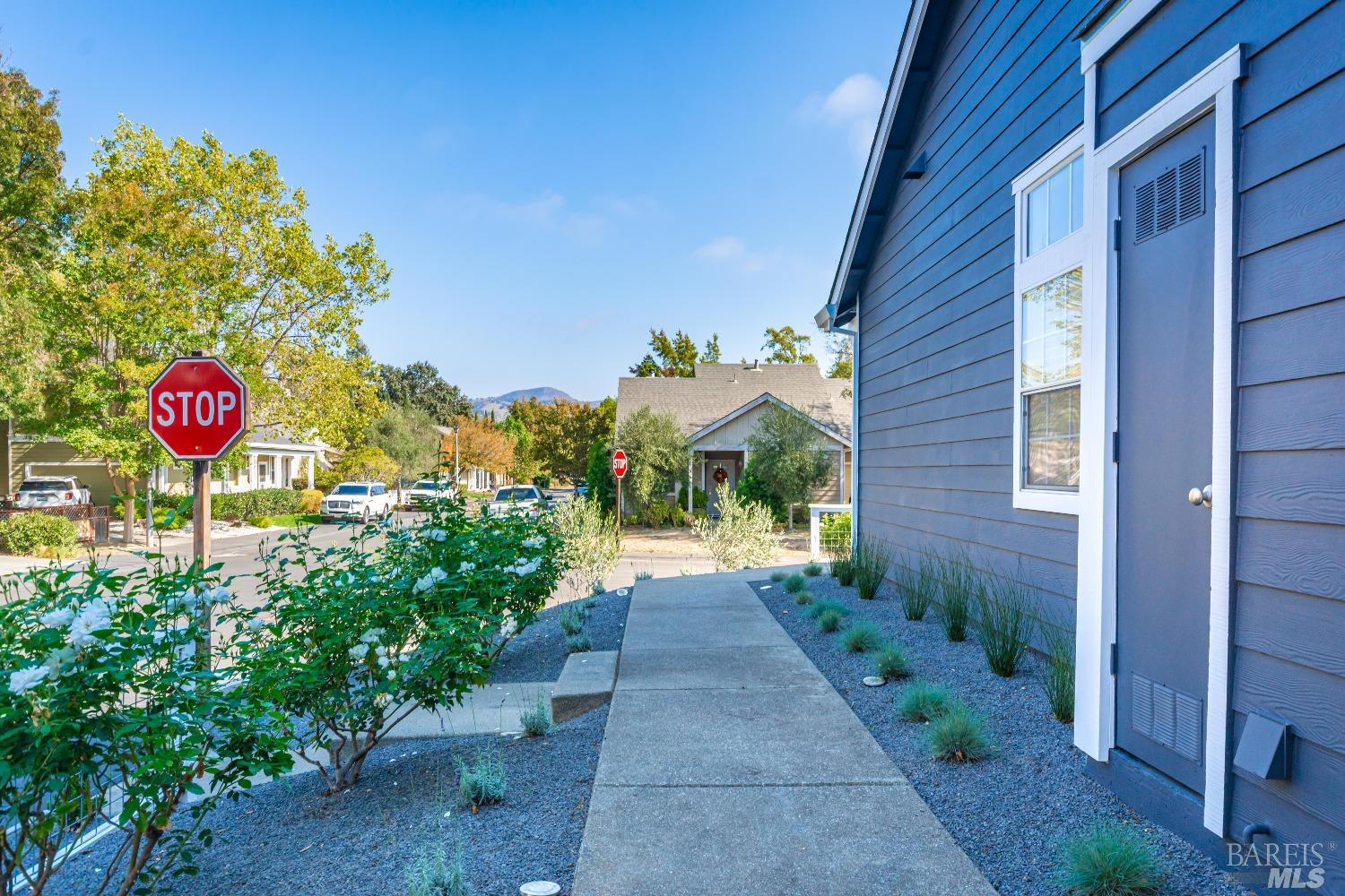 13 Jasmine St
