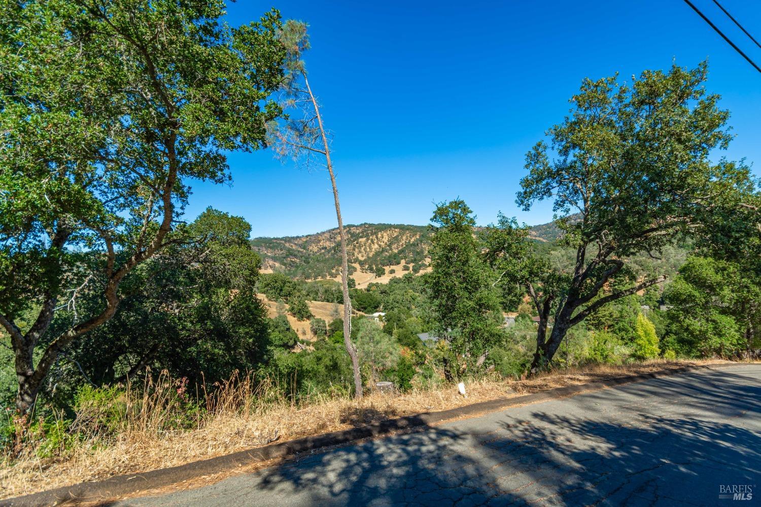 Zinnia Ln #73