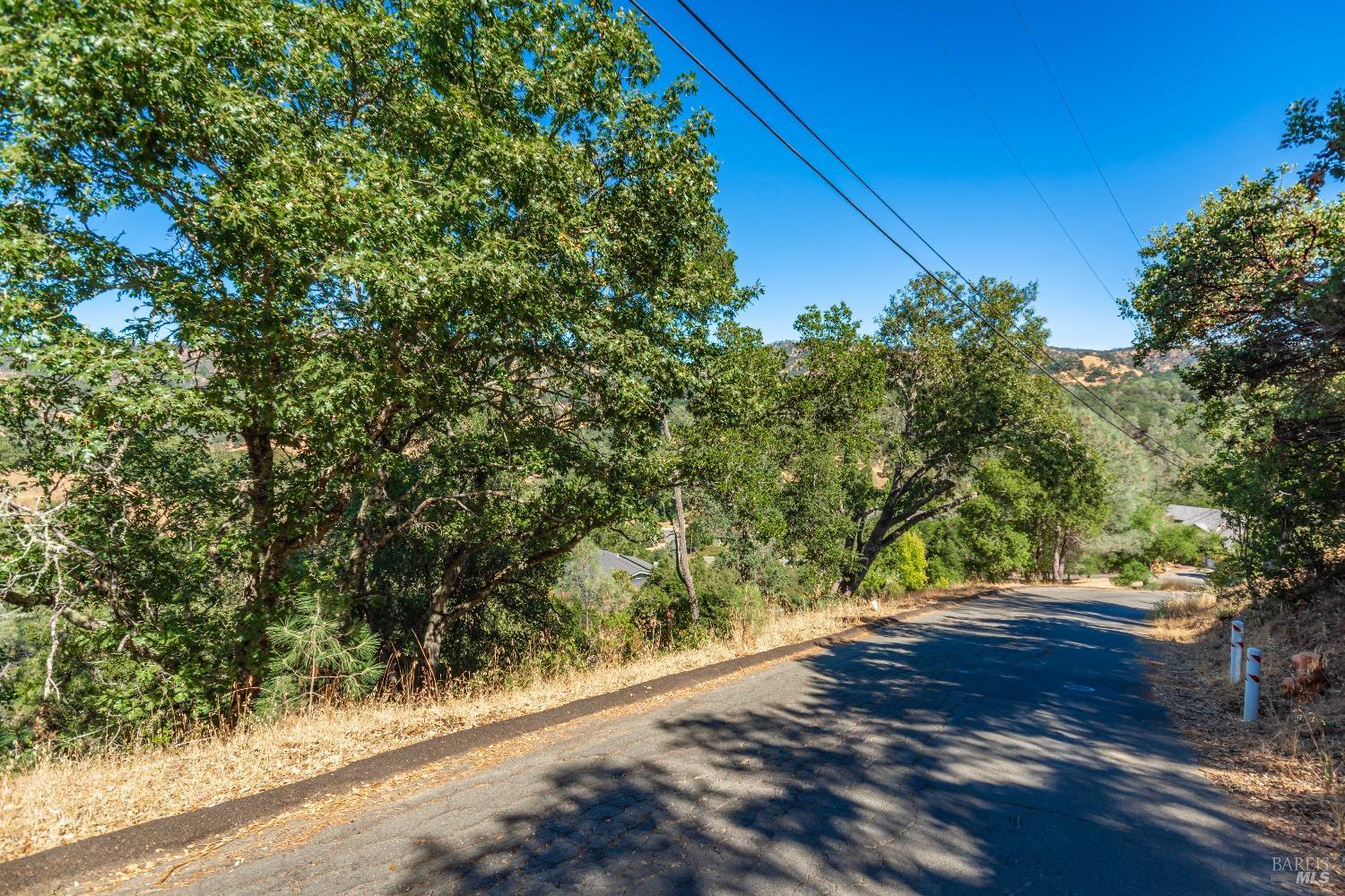 Zinnia Ln #73